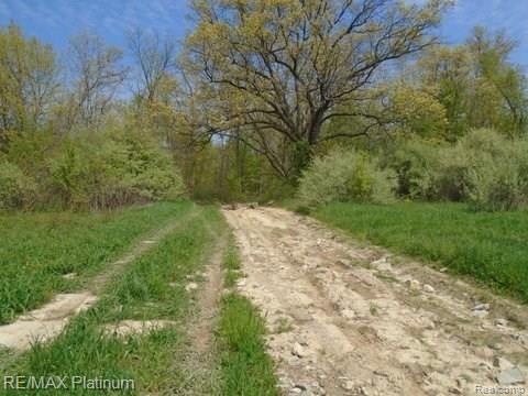 8070 Silver Lake Road Linden, MI 48451 - Photo 9 of 25 Gallery Image 9