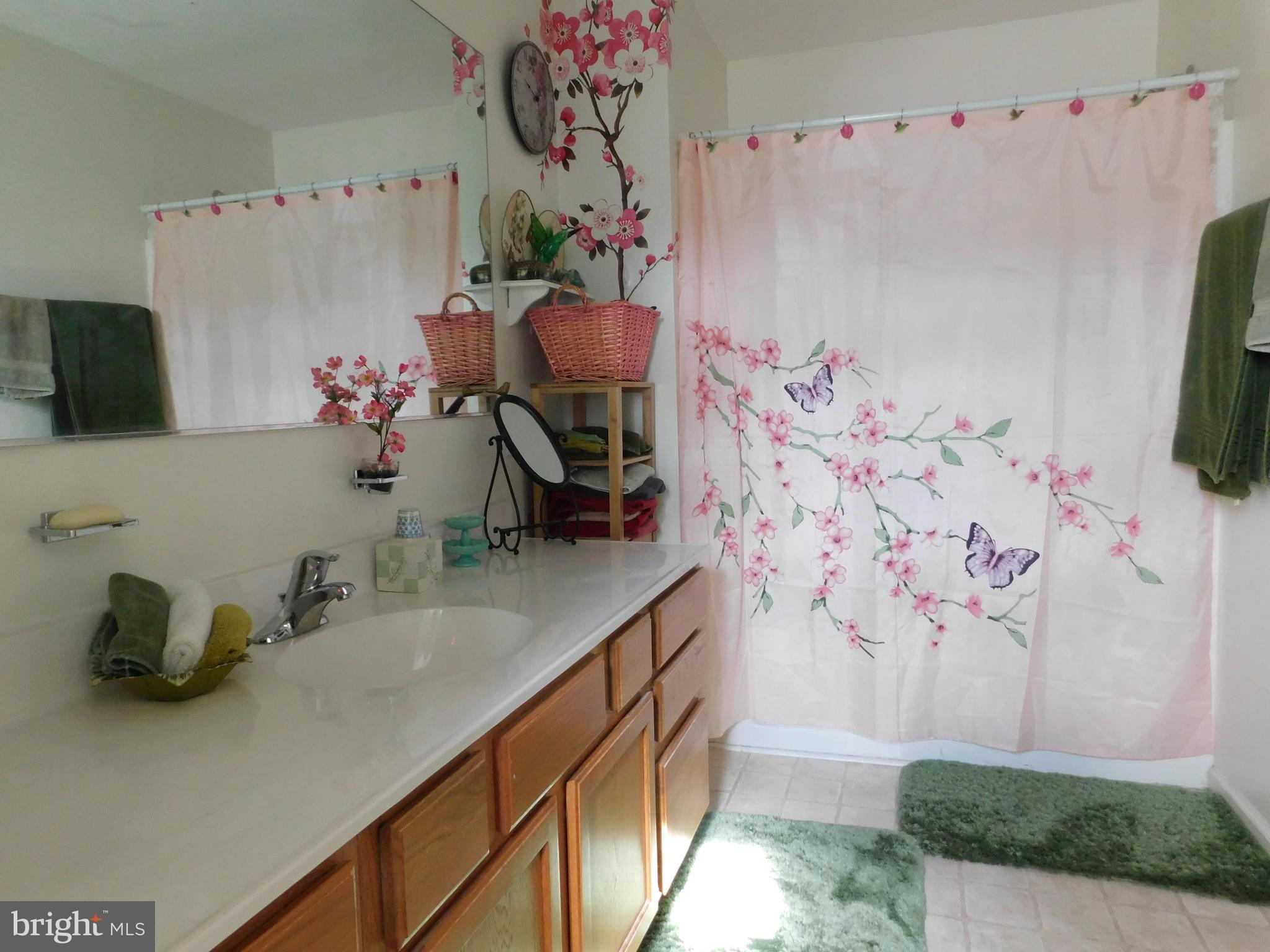 123 Beaumont Avenue Inwood, WV 25428 - Photo 11 of 14 Master Bath