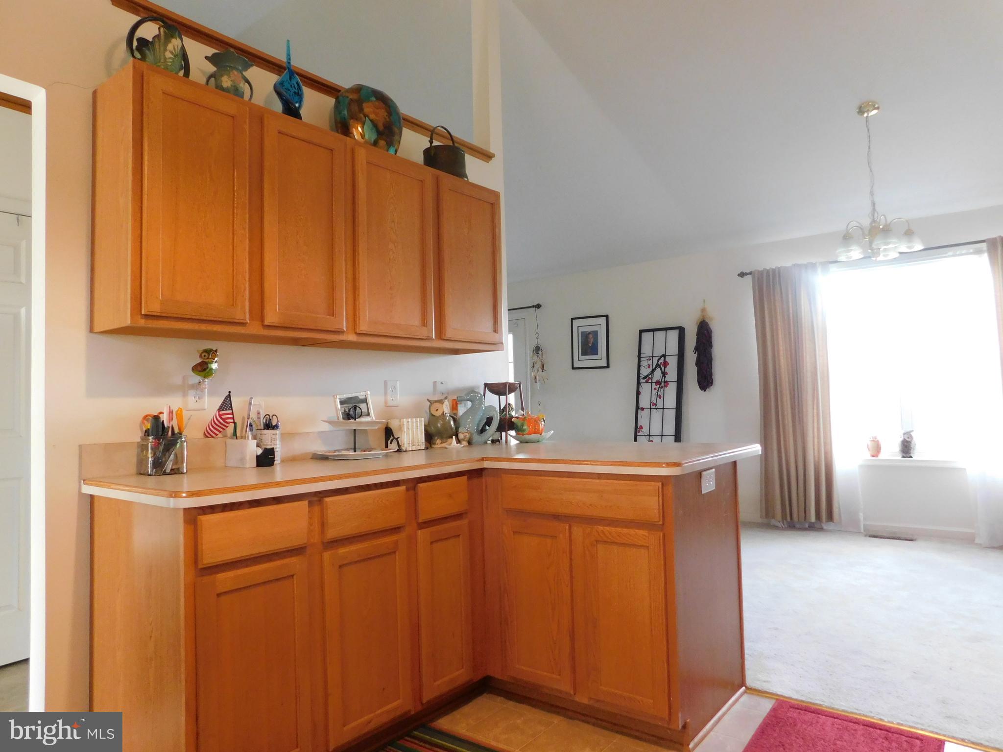 123 Beaumont Avenue Inwood, WV 25428 - Photo 5 of 14 Lots of cabinets -open to dining room
