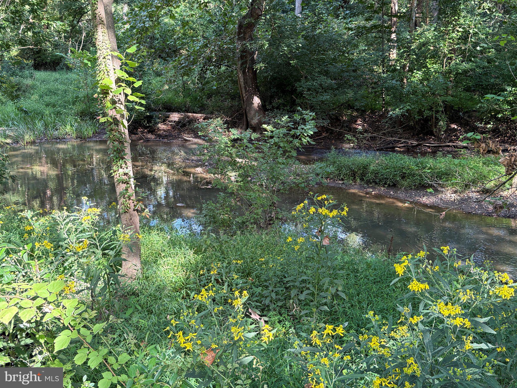 9173 South Fork Road Moorefield, WV 26836 - Photo 14 of 83 Serene stream amidst vibrant blooms.