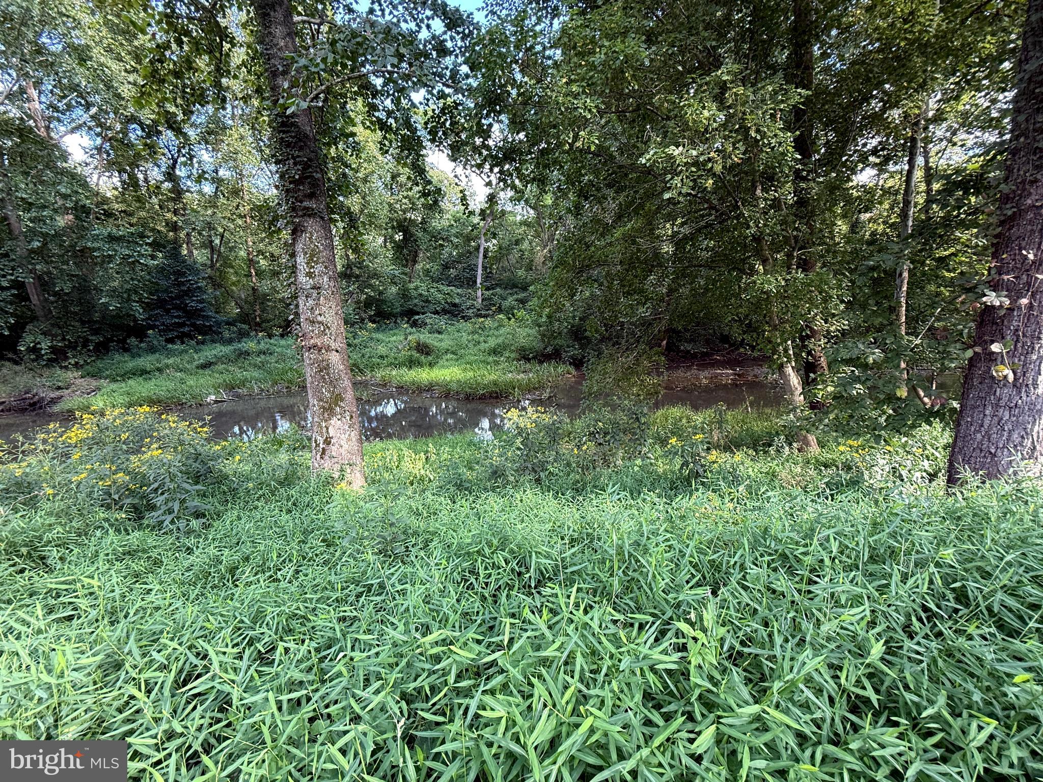 9173 South Fork Road Moorefield, WV 26836 - Photo 64 of 83 Water View