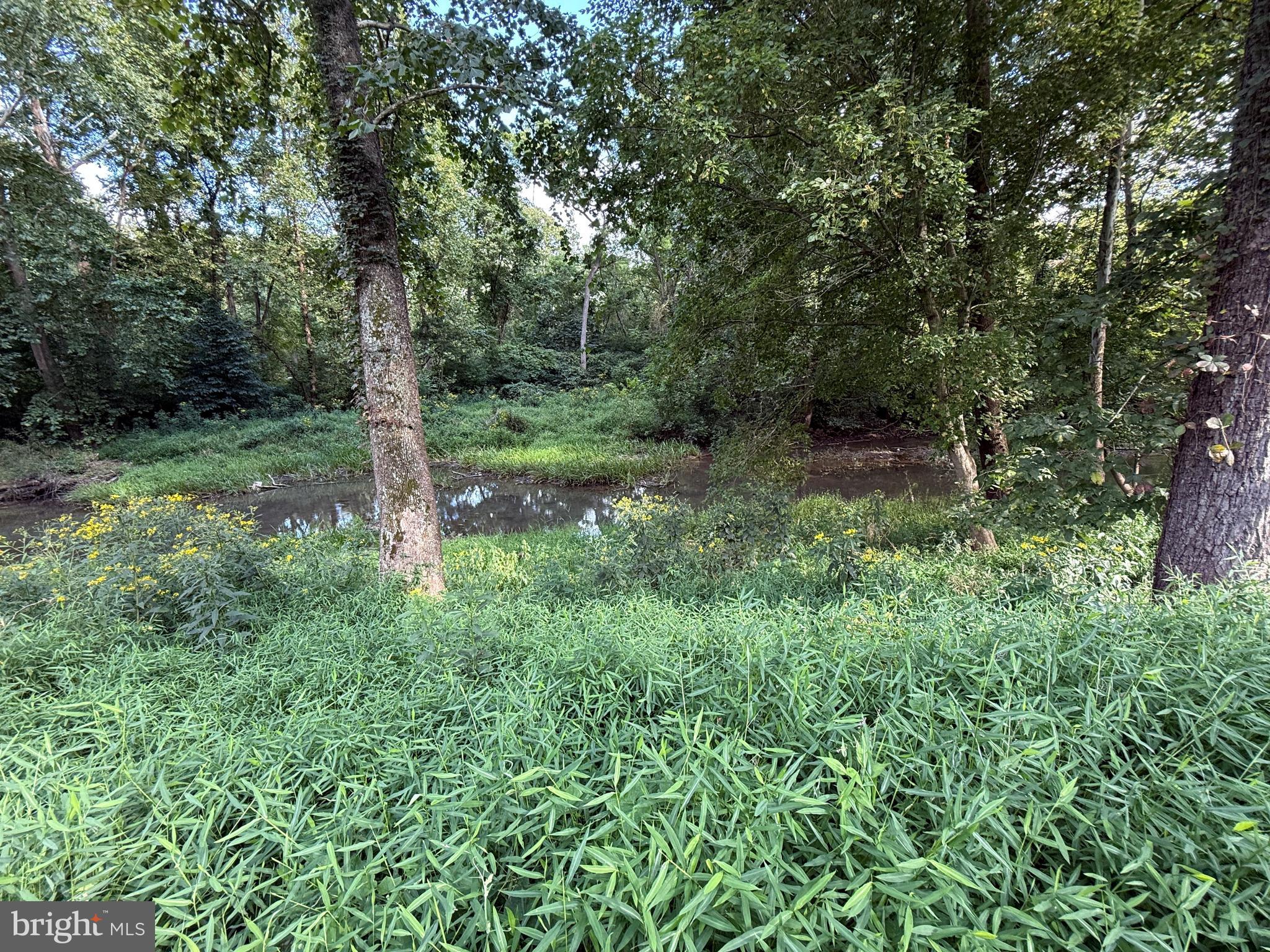 9173 South Fork Road Moorefield, WV 26836 - Photo 65 of 83 Water View