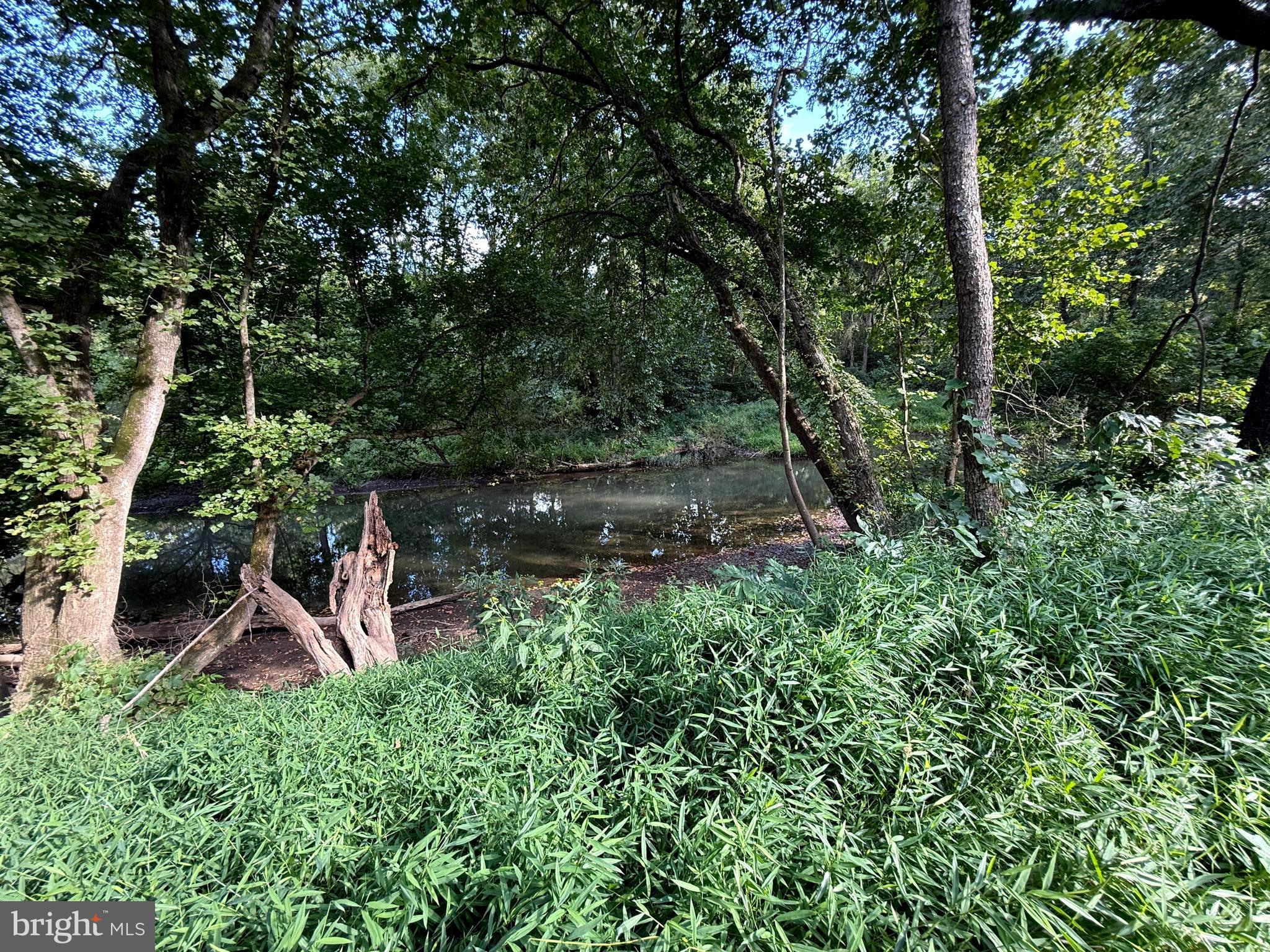 9173 South Fork Road Moorefield, WV 26836 - Photo 66 of 83 Water View