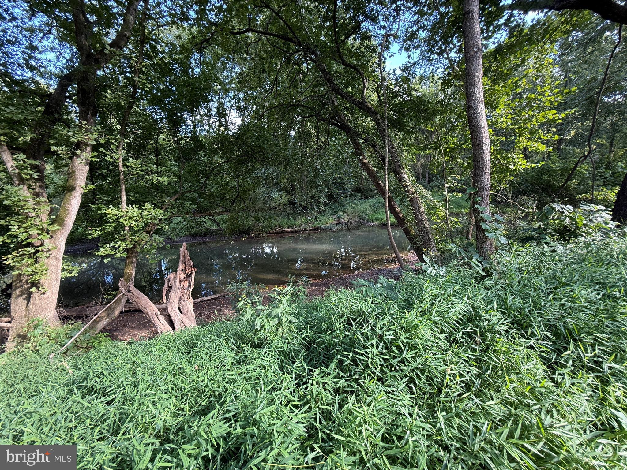 9173 South Fork Road Moorefield, WV 26836 - Photo 67 of 83 Water View