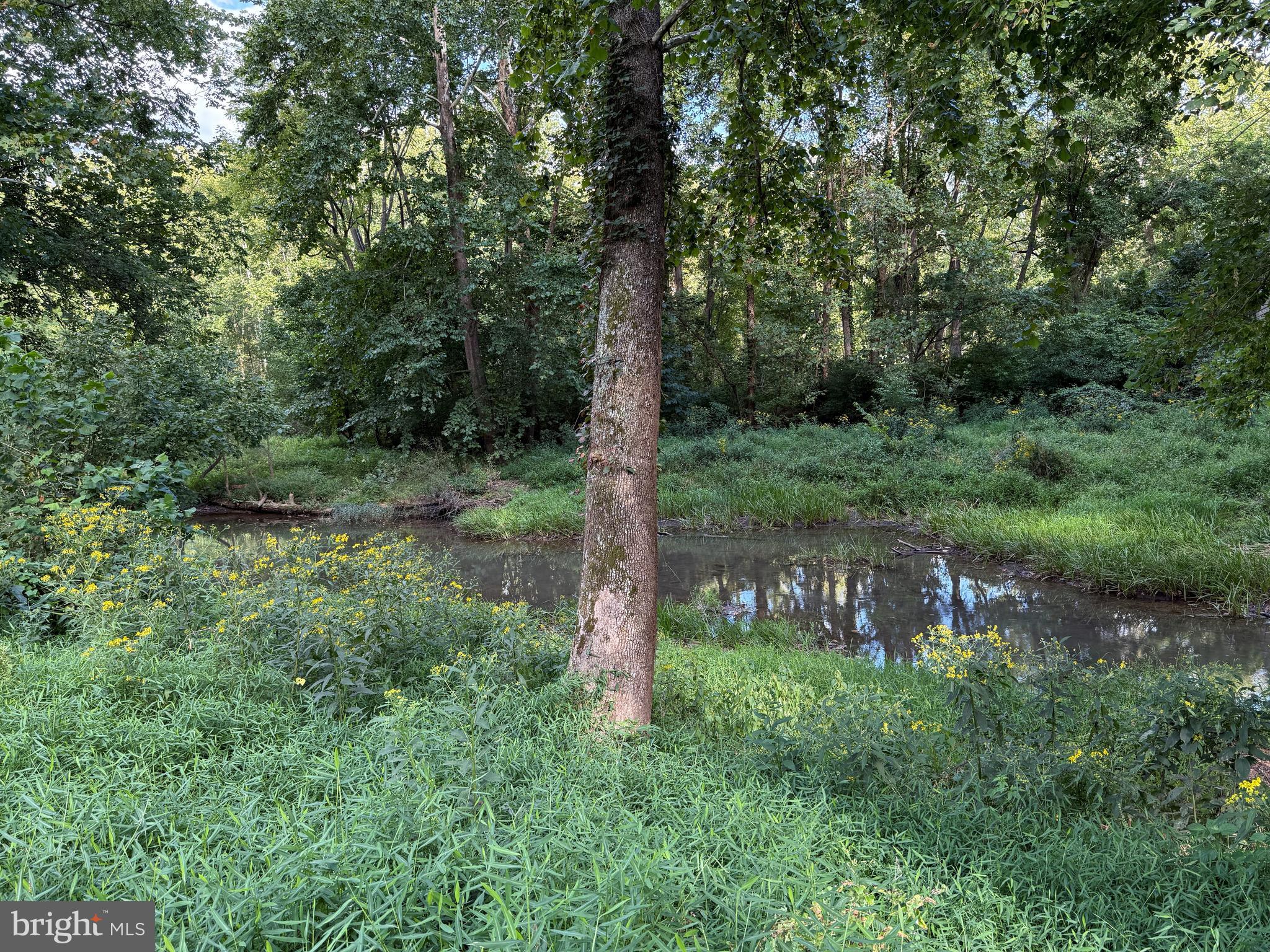 9173 South Fork Road Moorefield, WV 26836 - Photo 9 of 83 Water View