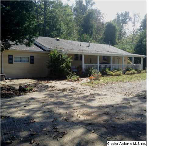 8375 Zuber Road Springville, AL 35146 - Photo 2 of 22