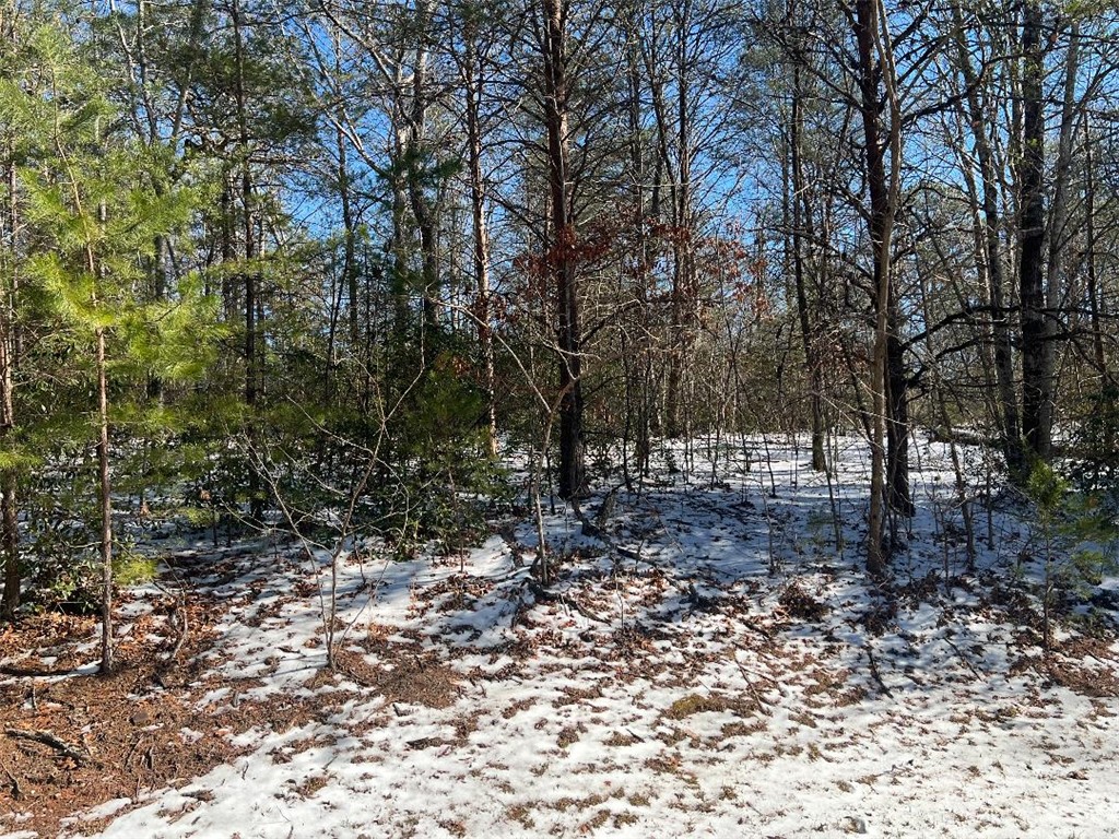 308 Mountain Summit Road Travelers Rest, SC 29690 - Photo 3 of 5 Gallery Image 3