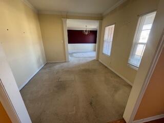 4623 Crested Butte Road Augusta, GA 30909 - Photo 4 of 5 IMG_6779