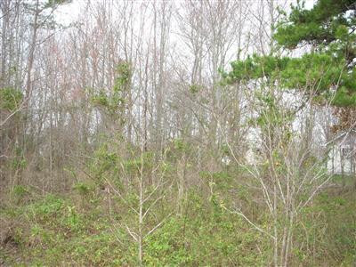 14 Barbourville Road London, KY 40744 - Photo 2 of 3 Photo 2