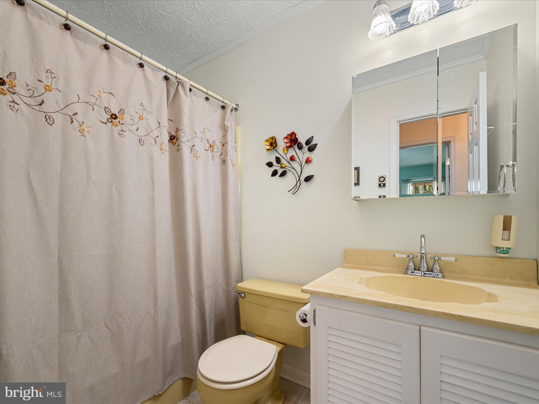 209 Sterrett Lane Winchester, VA 22603 - Photo 13 of 52 a bathroom with a sink a toilet and a mirror