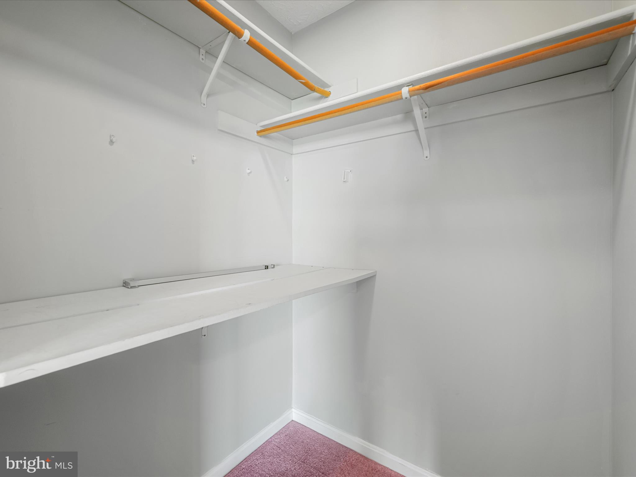 209 Sterrett Lane Winchester, VA 22603 - Photo 16 of 52 a view of an empty walk in closet