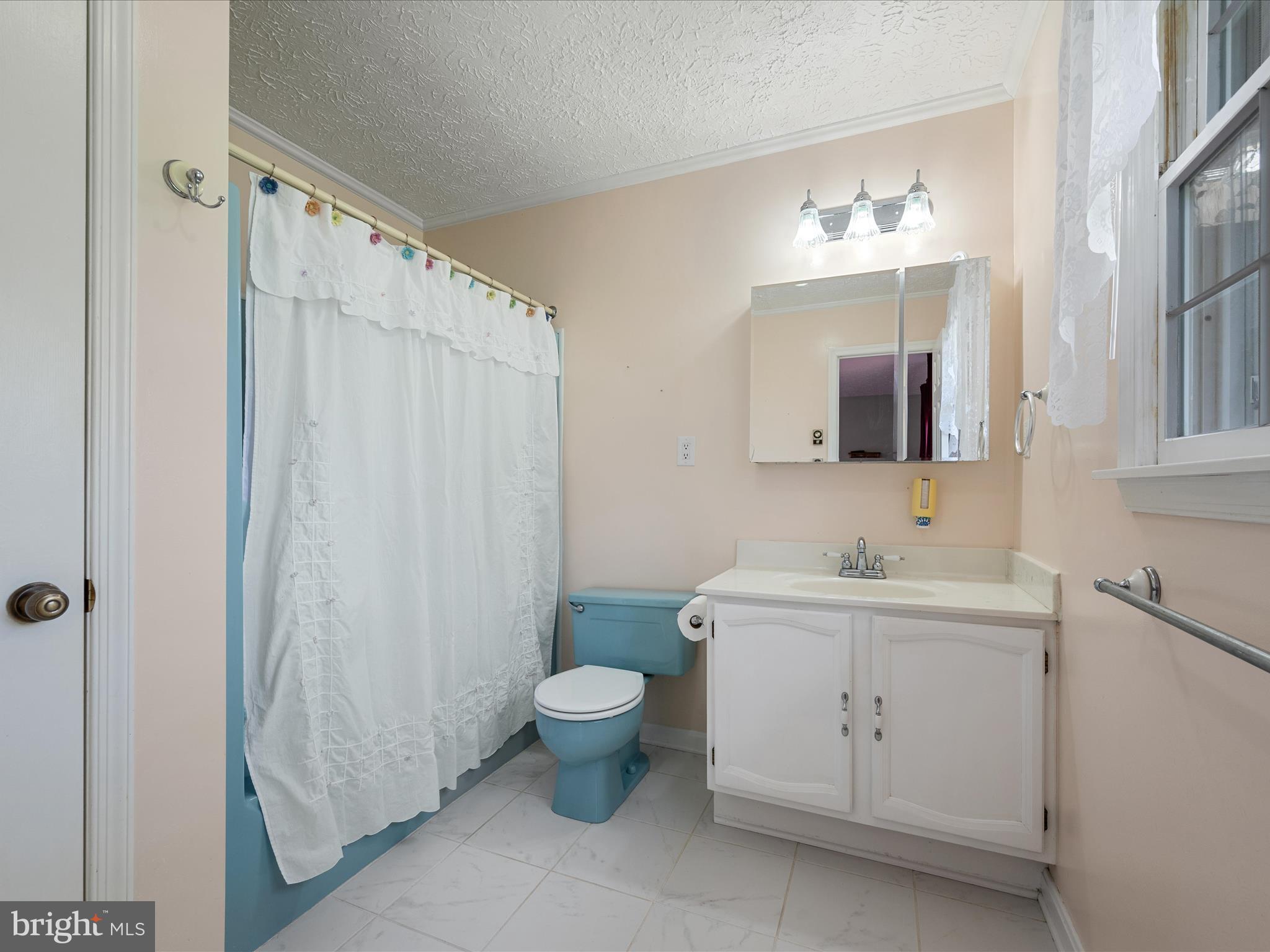 209 Sterrett Lane Winchester, VA 22603 - Photo 18 of 52 a bathroom with a toilet sink and mirror