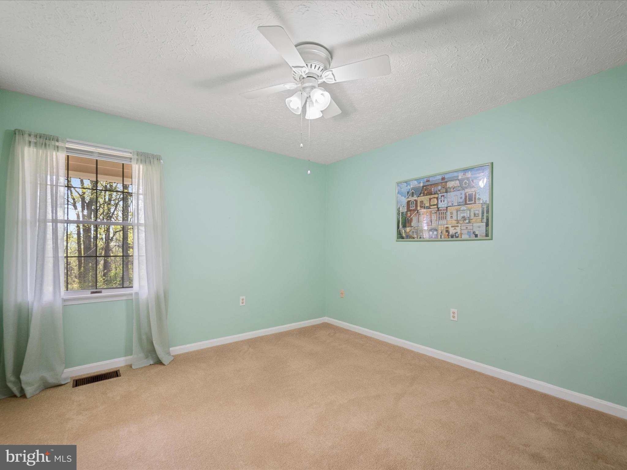 209 Sterrett Lane Winchester, VA 22603 - Photo 21 of 52 an empty room with windows and fan