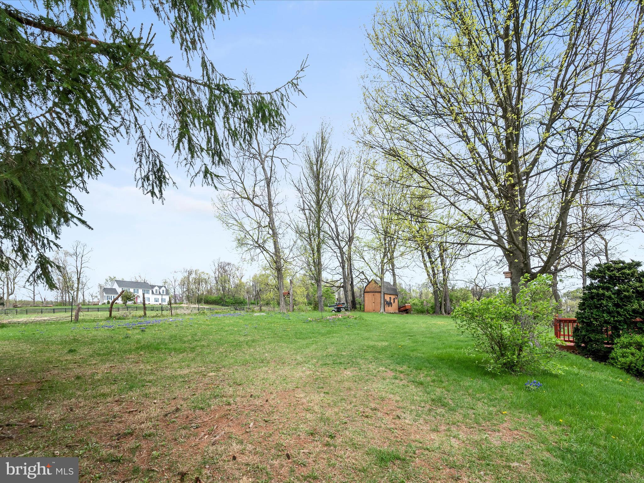 209 Sterrett Lane Winchester, VA 22603 - Photo 43 of 52 a view of a park with large trees