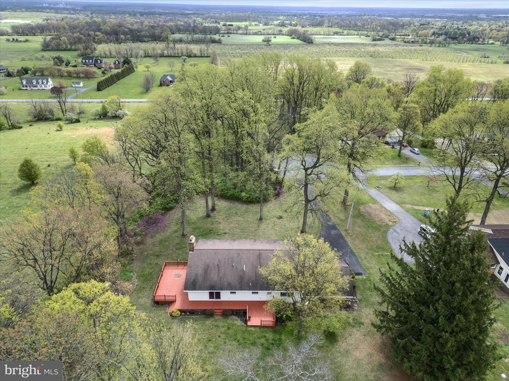 209 Sterrett Lane Winchester, VA 22603 - Photo 45 of 52 a view of a lake with a yard