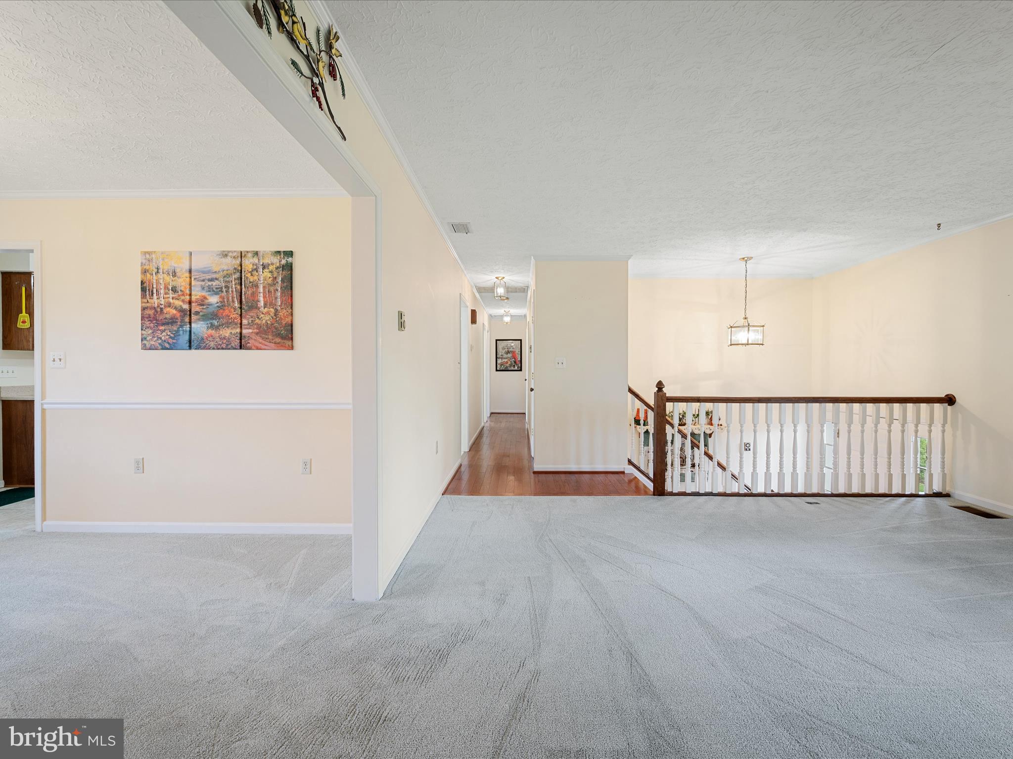 209 Sterrett Lane Winchester, VA 22603 - Photo 6 of 52 a view of an empty room with wooden floor