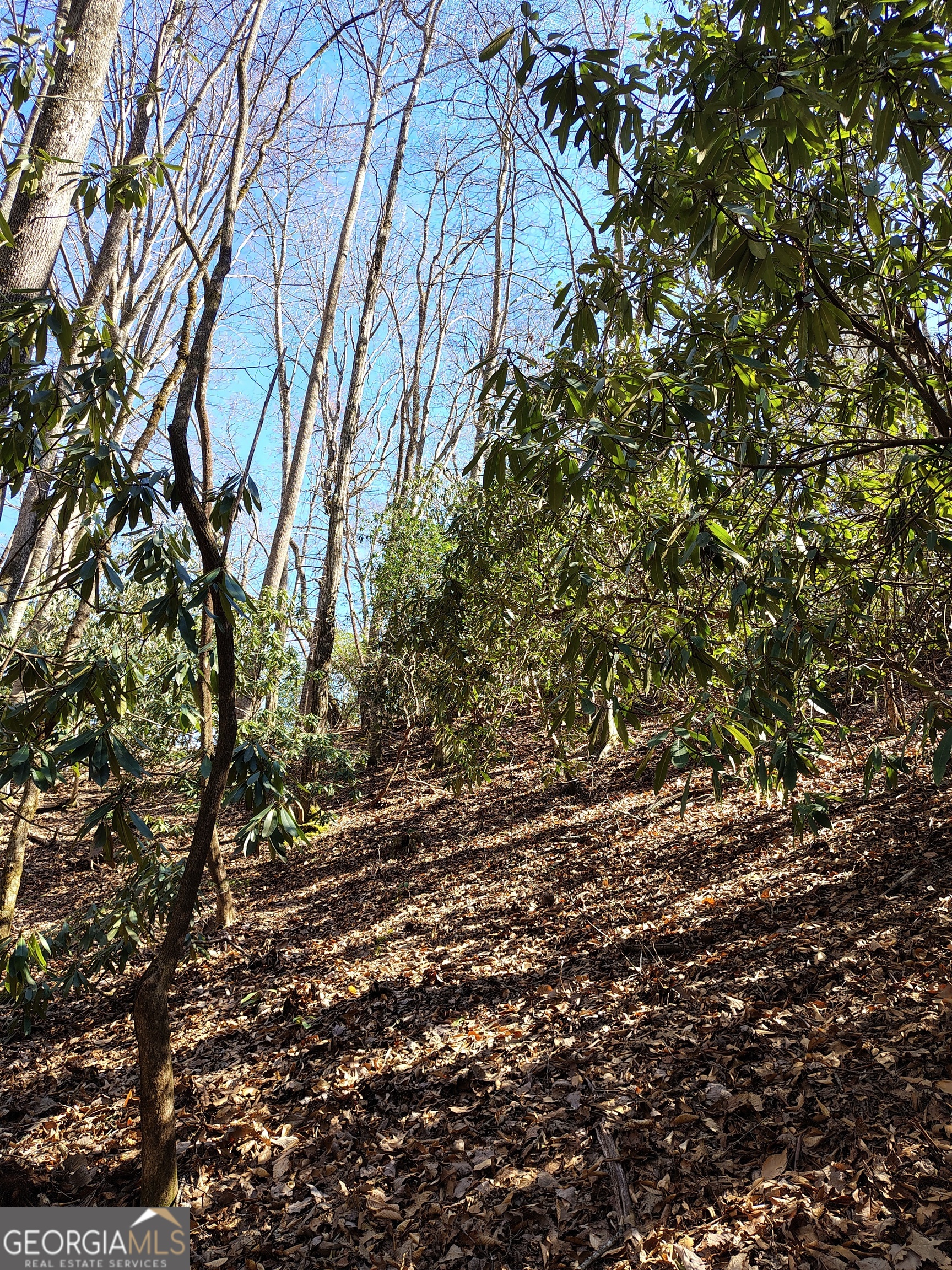 0 Ivy Rdg Way, Unit LOT 50 Clarkesville, GA 30523 - Photo 11 of 29