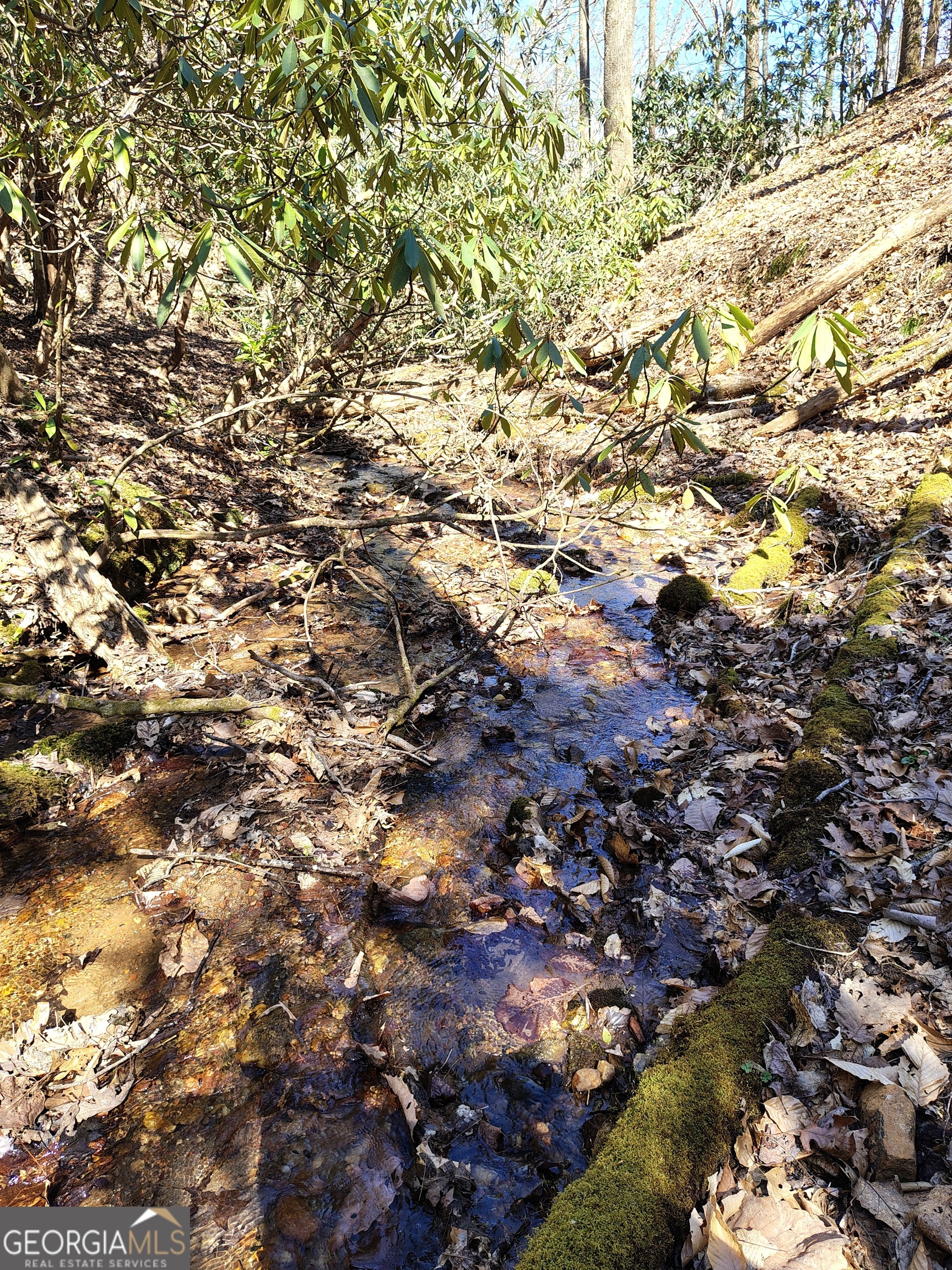 0 Ivy Rdg Way, Unit LOT 50 Clarkesville, GA 30523 - Photo 12 of 29