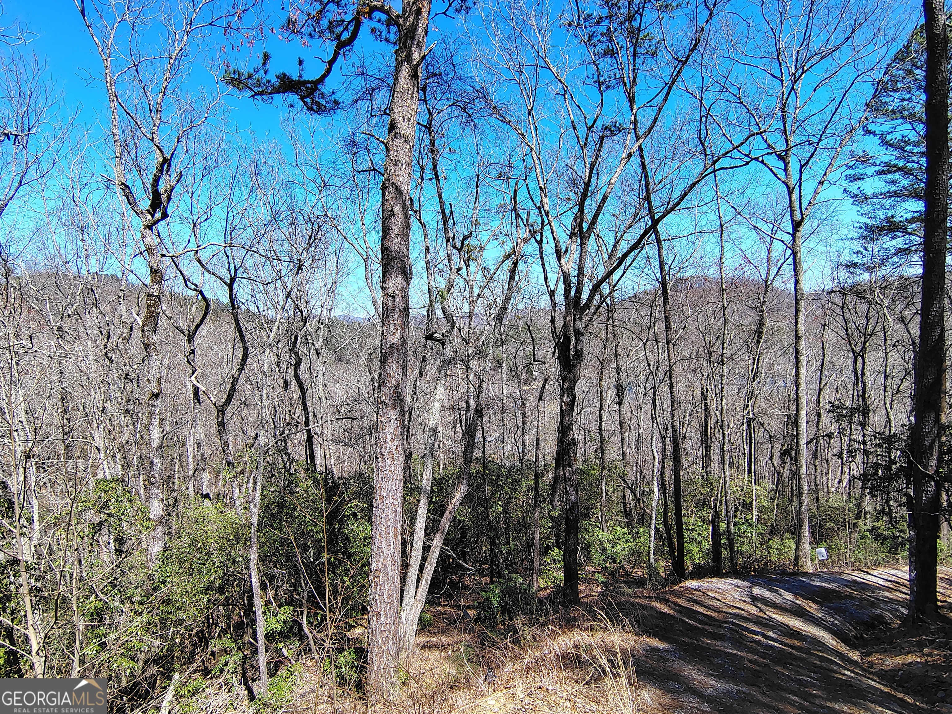 0 Ivy Rdg Way, Unit LOT 50 Clarkesville, GA 30523 - Photo 13 of 29