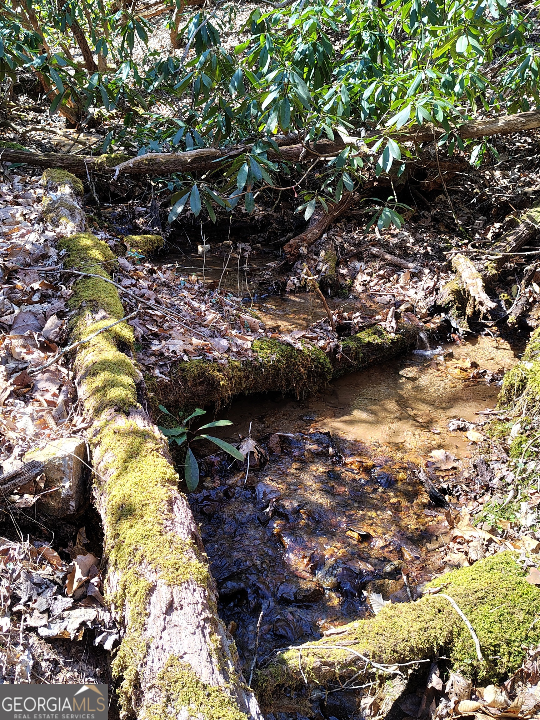 0 Ivy Rdg Way, Unit LOT 50 Clarkesville, GA 30523 - Photo 15 of 29