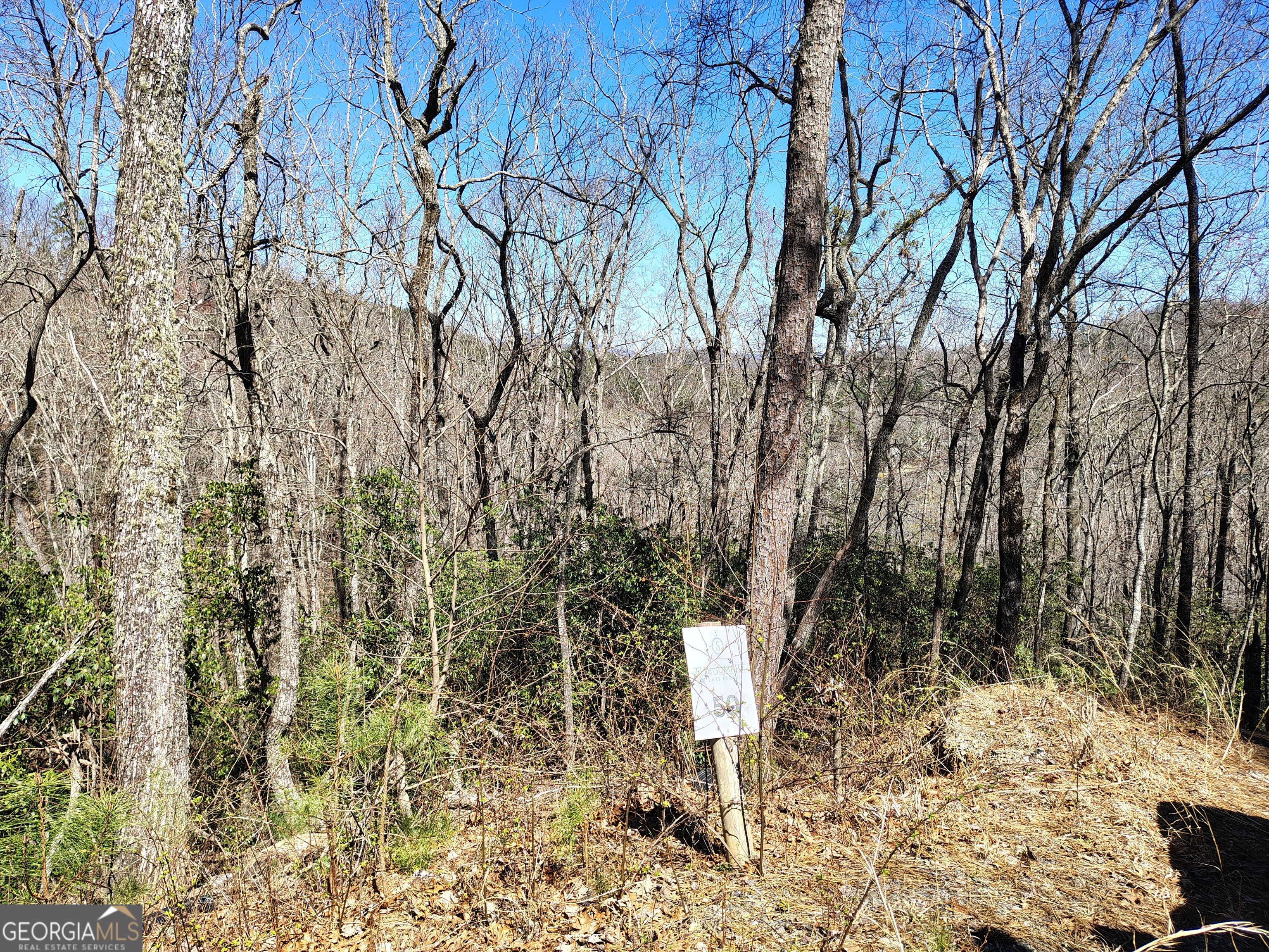 0 Ivy Rdg Way, Unit LOT 50 Clarkesville, GA 30523 - Photo 16 of 29