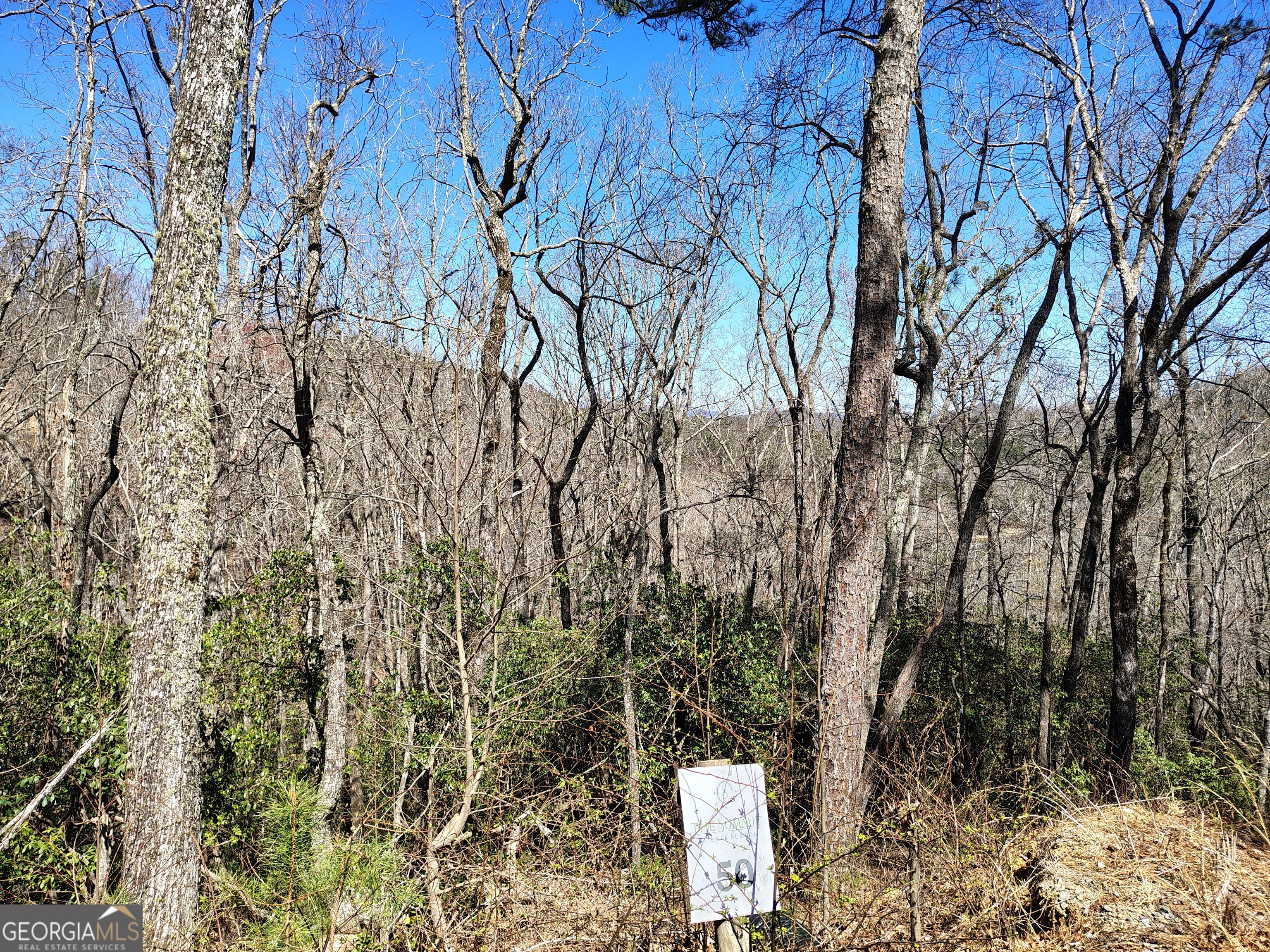 0 Ivy Rdg Way, Unit LOT 50 Clarkesville, GA 30523 - Photo 17 of 29