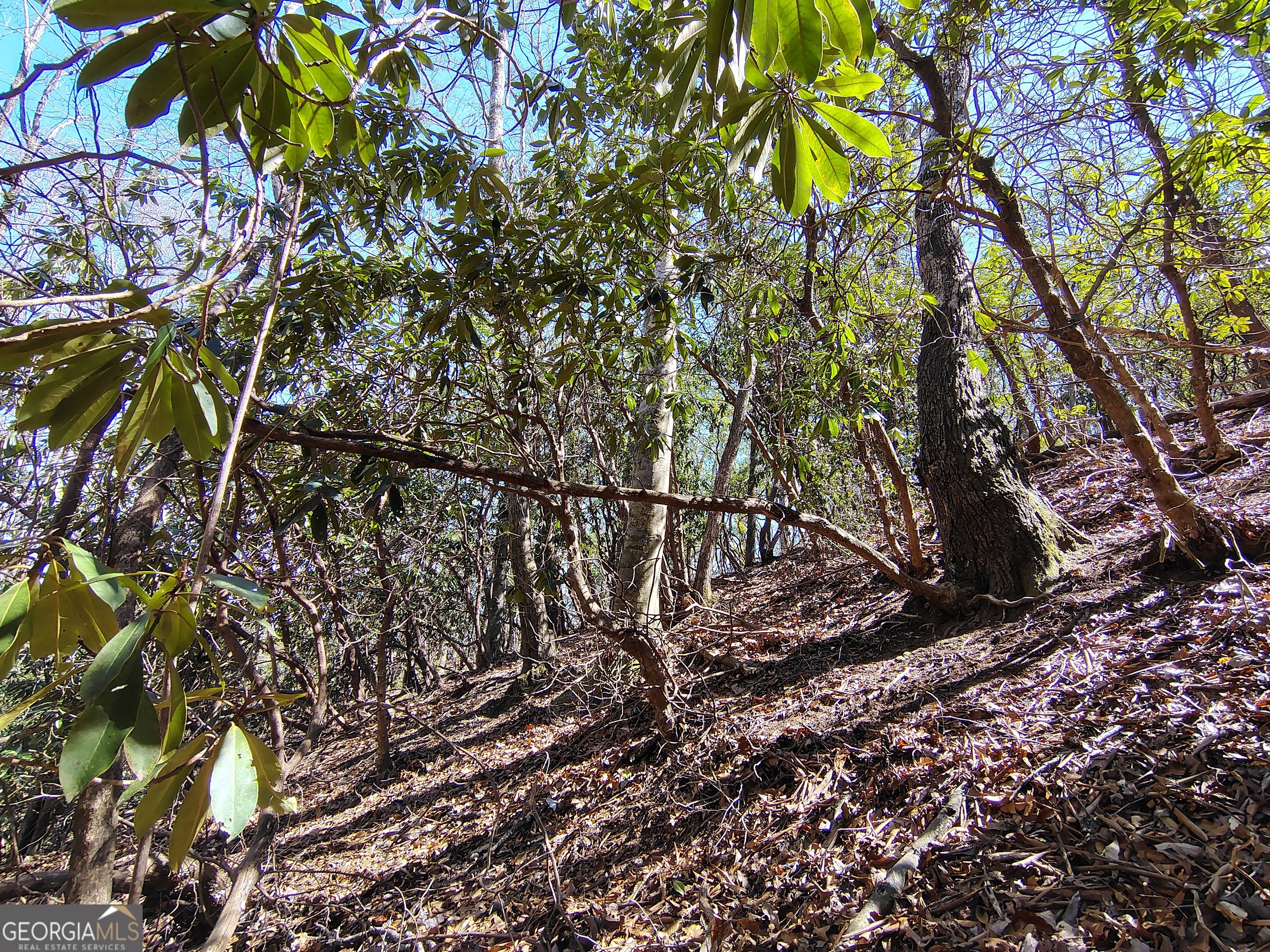 0 Ivy Rdg Way, Unit LOT 50 Clarkesville, GA 30523 - Photo 18 of 29