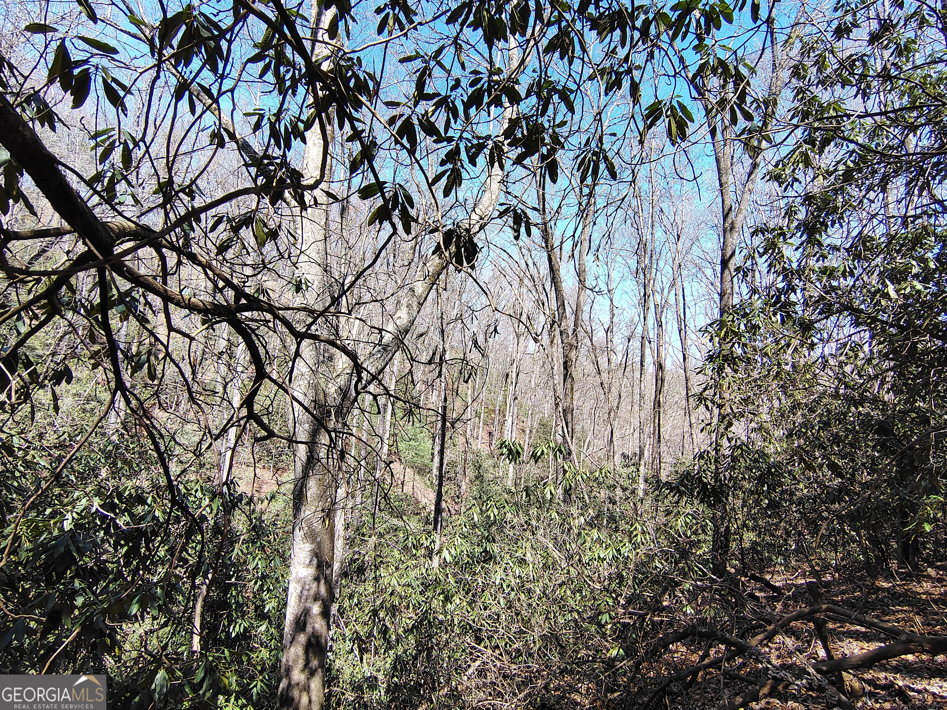 0 Ivy Rdg Way, Unit LOT 50 Clarkesville, GA 30523 - Photo 19 of 29