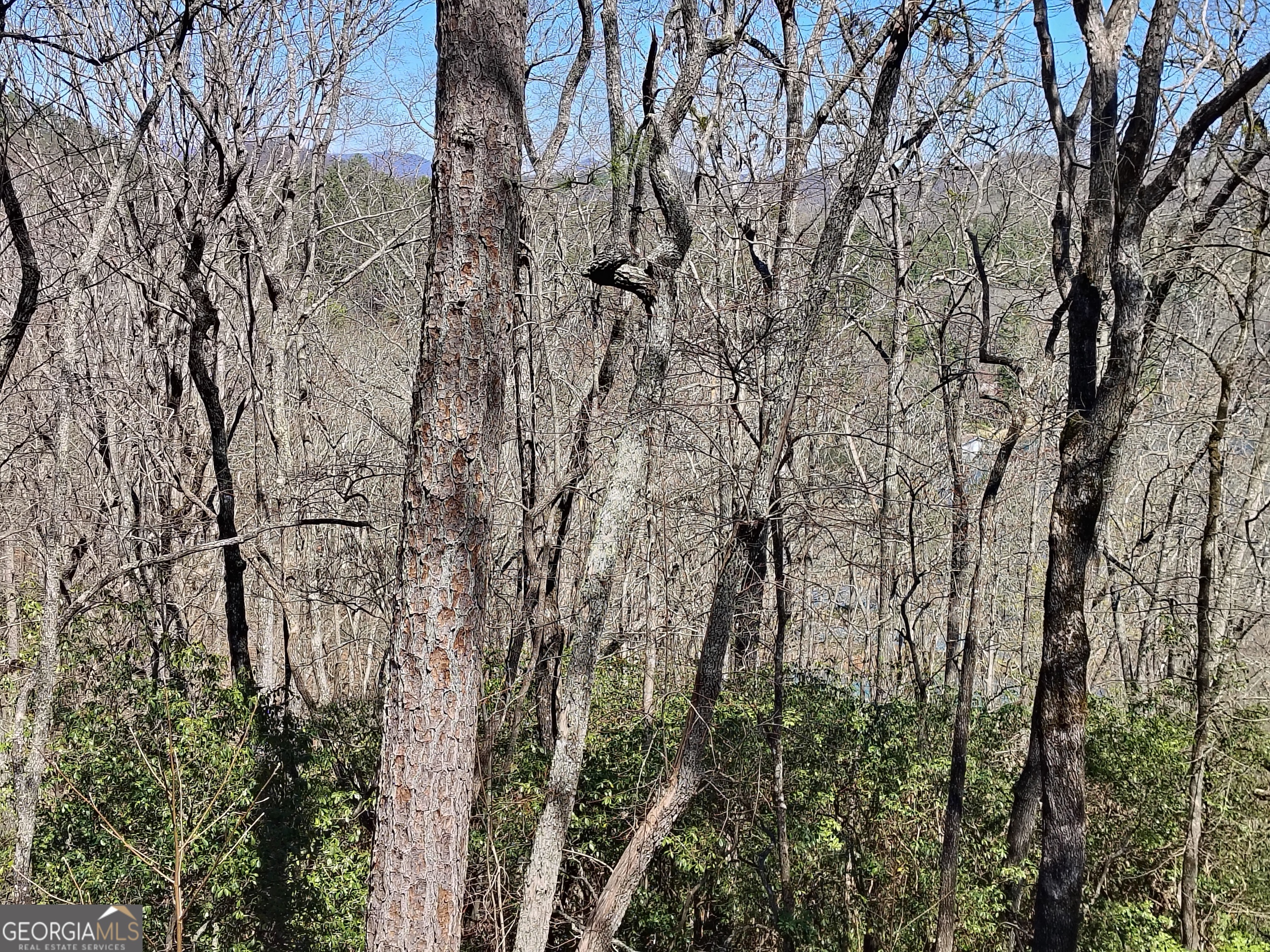 0 Ivy Rdg Way, Unit LOT 50 Clarkesville, GA 30523 - Photo 22 of 29