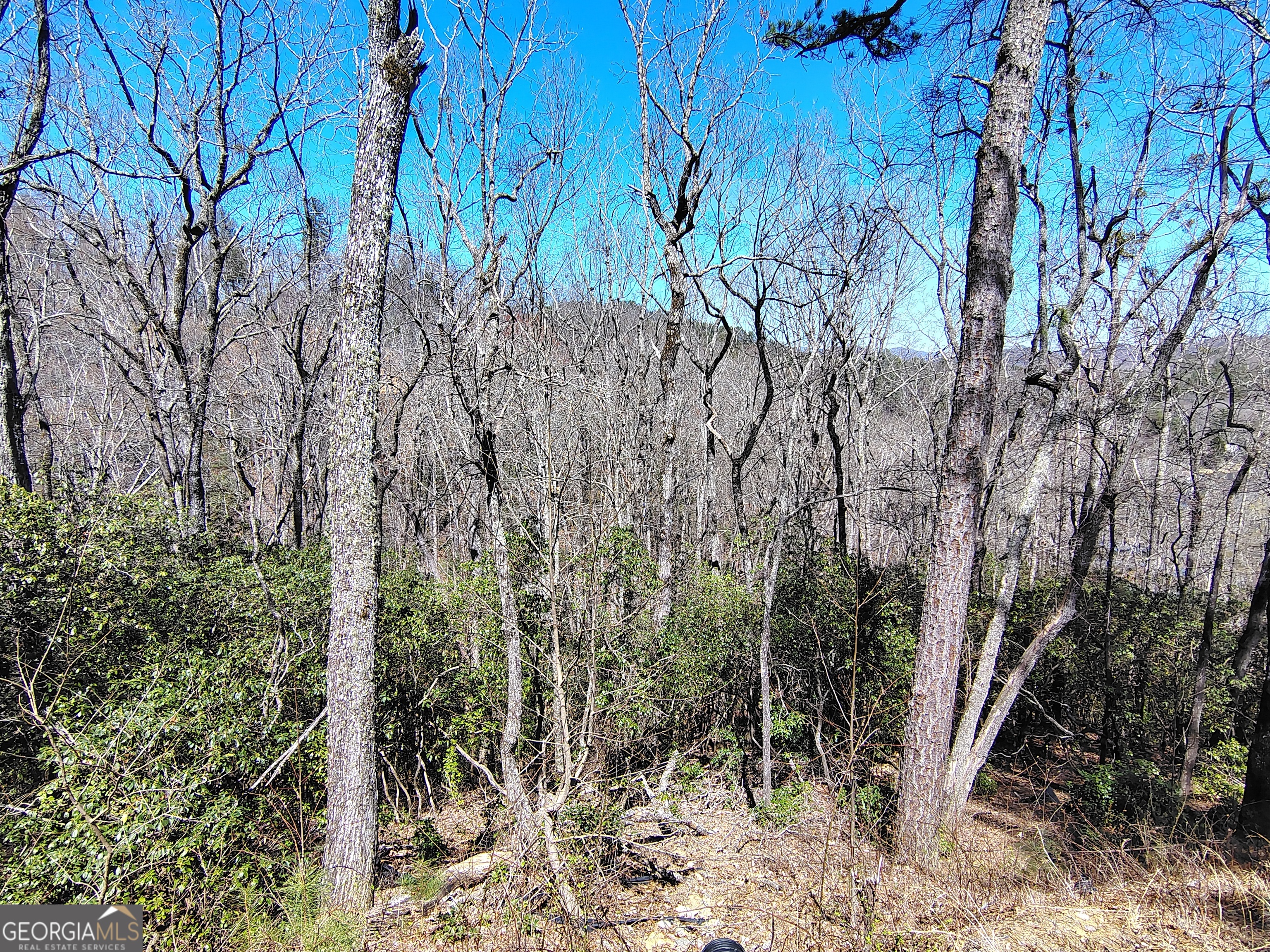 0 Ivy Rdg Way, Unit LOT 50 Clarkesville, GA 30523 - Photo 23 of 29