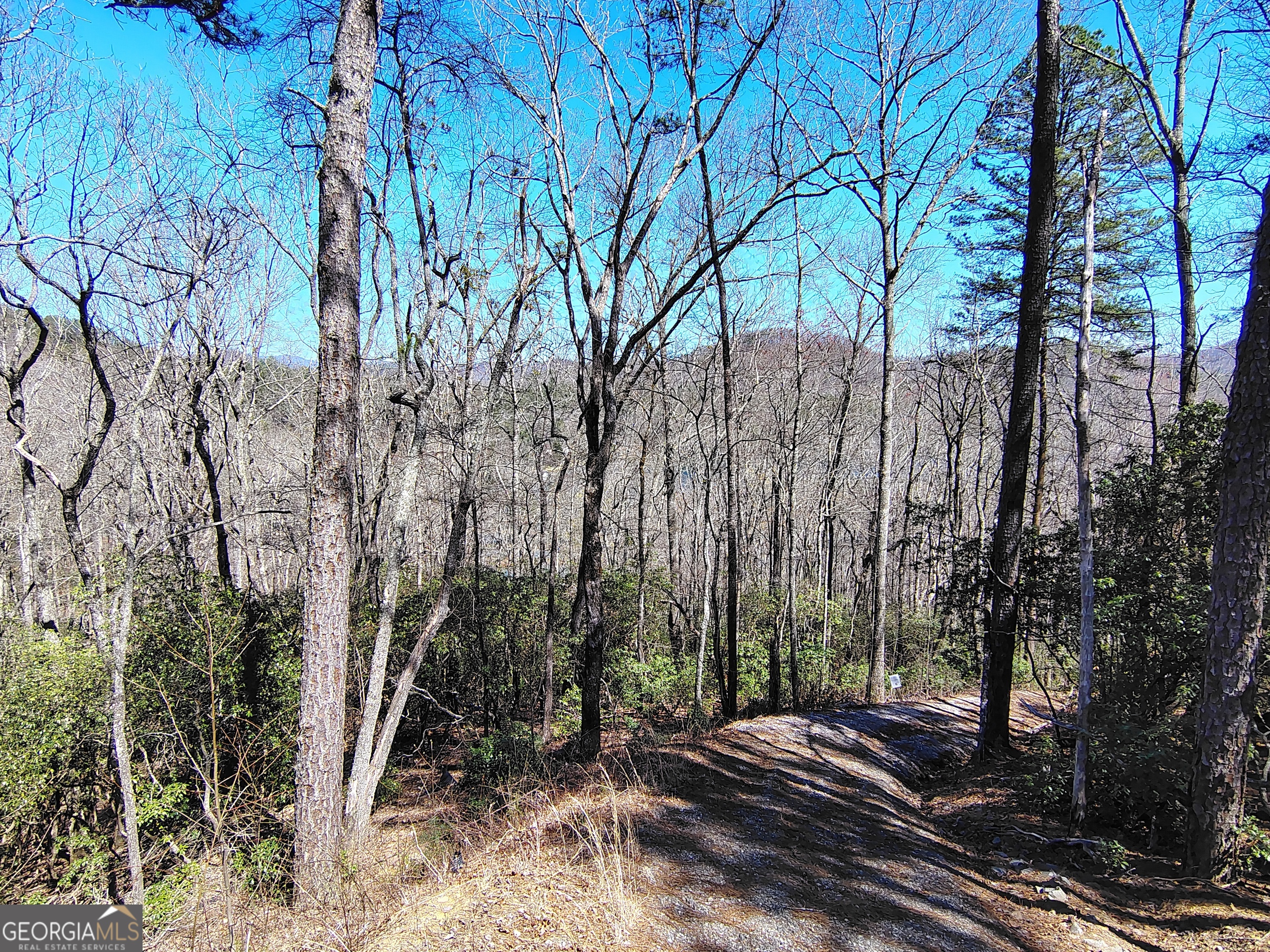 0 Ivy Rdg Way, Unit LOT 50 Clarkesville, GA 30523 - Photo 24 of 29