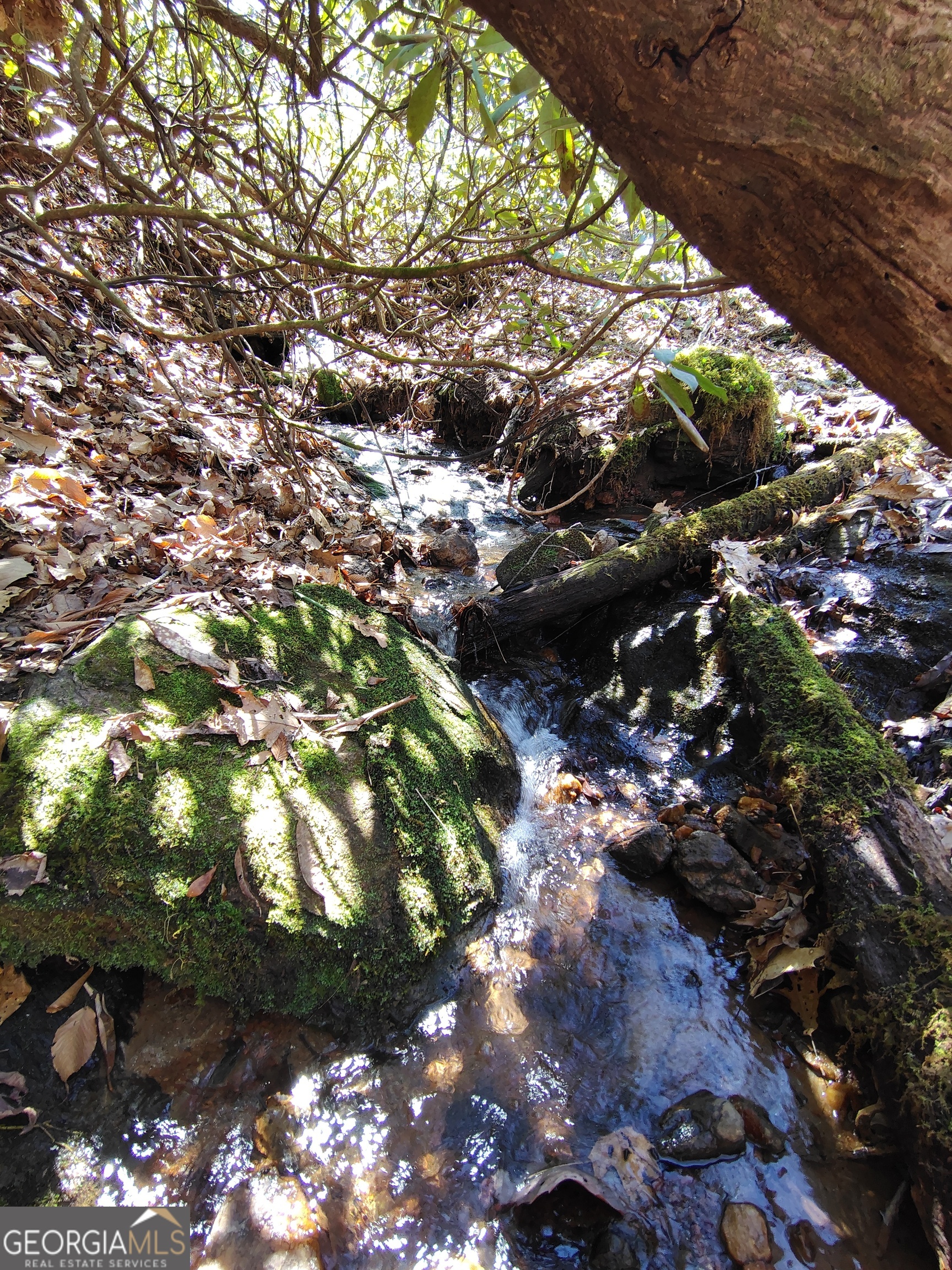 0 Ivy Rdg Way, Unit LOT 50 Clarkesville, GA 30523 - Photo 25 of 29