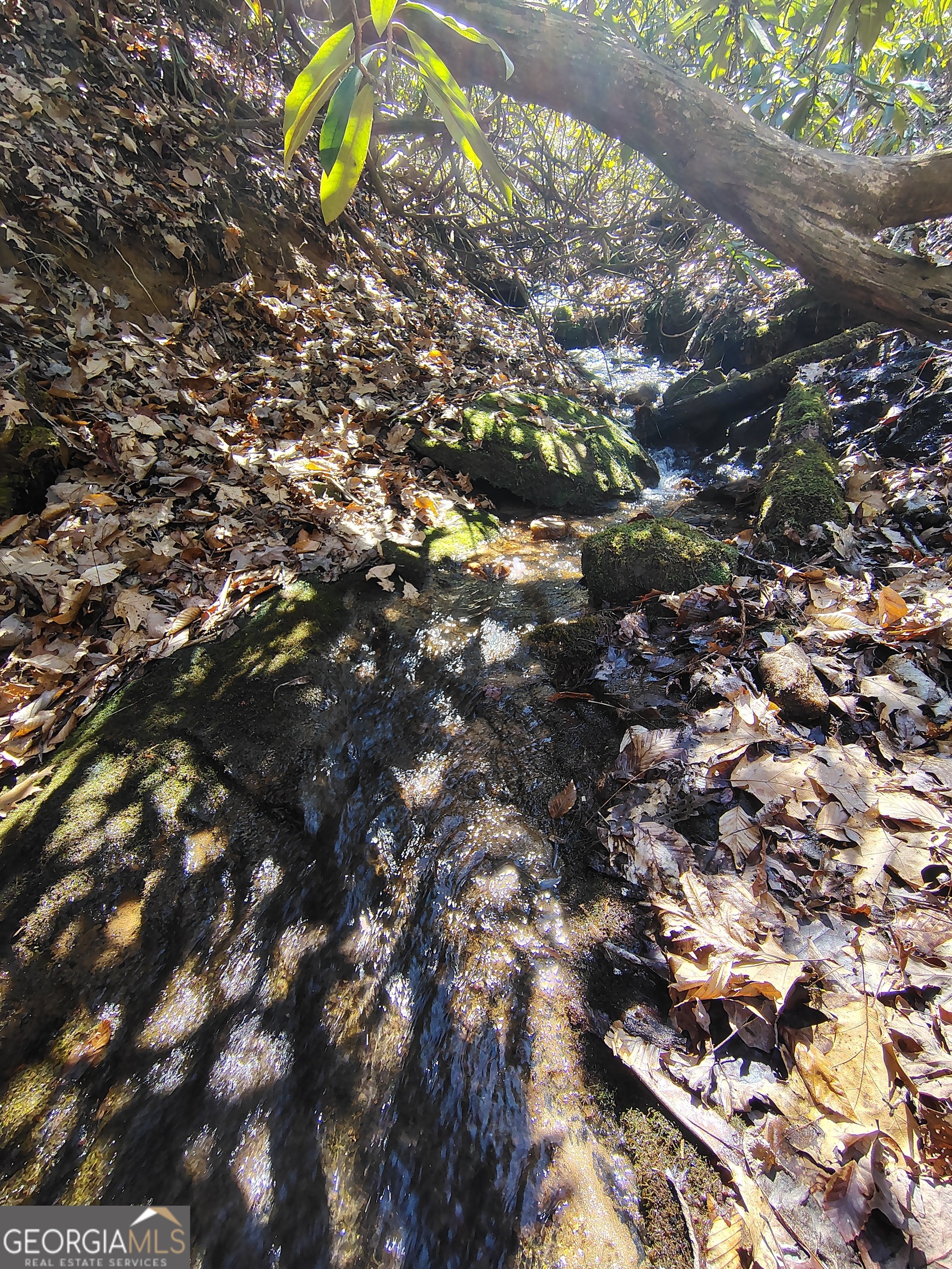 0 Ivy Rdg Way, Unit LOT 50 Clarkesville, GA 30523 - Photo 26 of 29