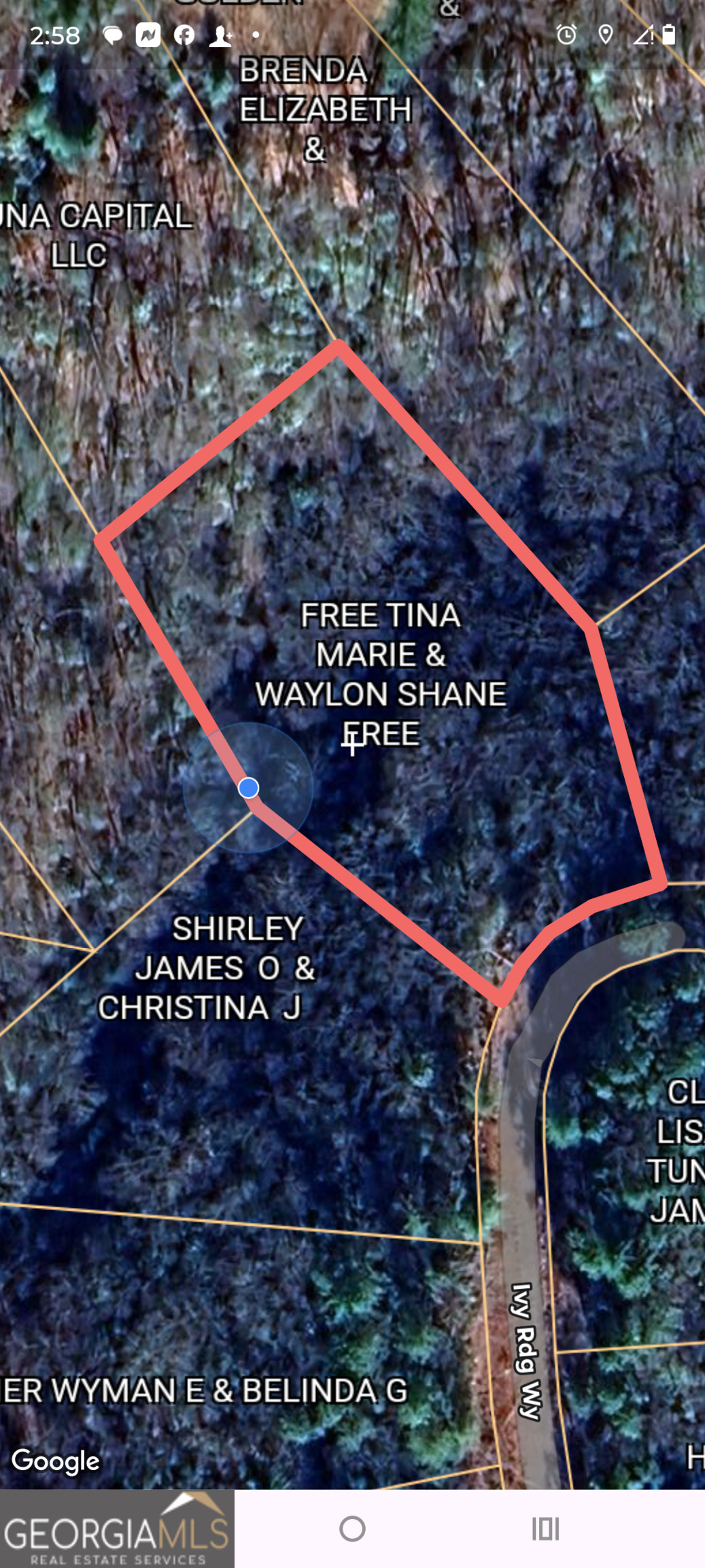 0 Ivy Rdg Way, Unit LOT 50 Clarkesville, GA 30523 - Photo 28 of 29