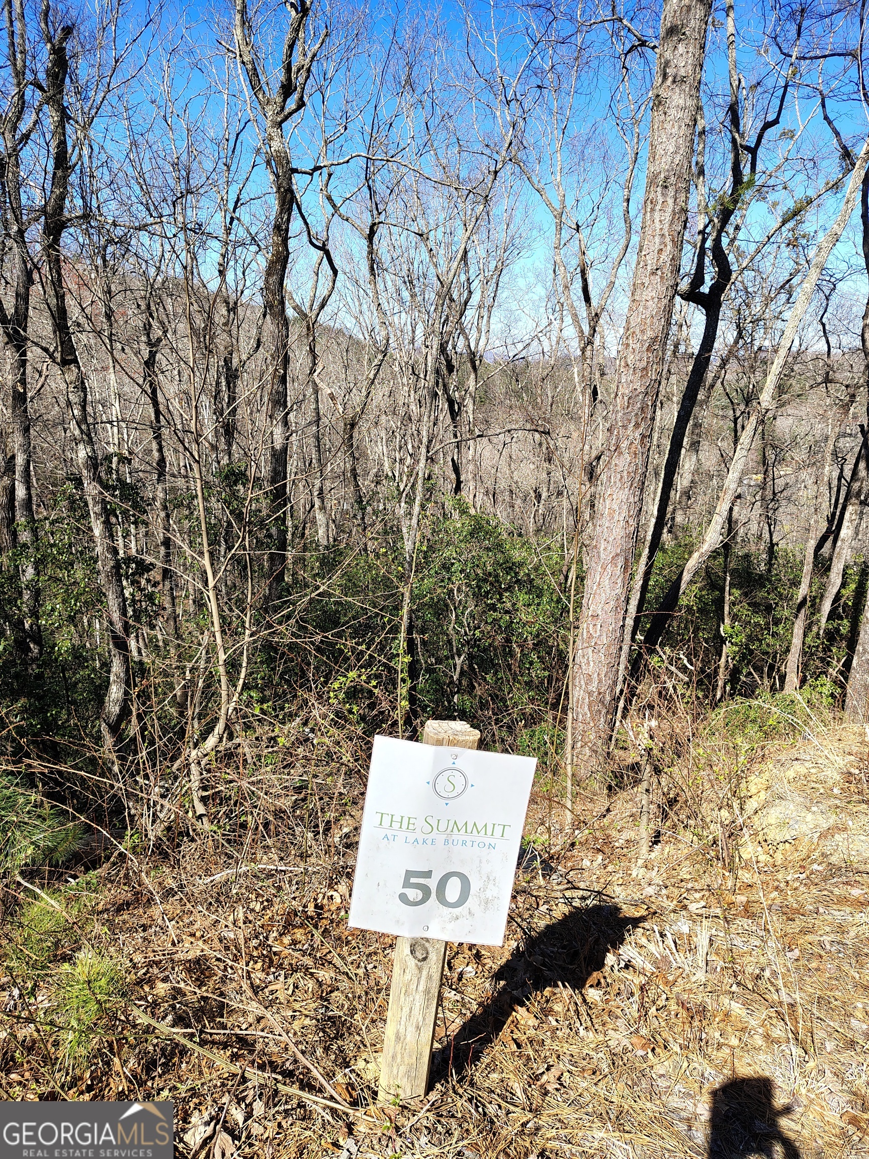 0 Ivy Rdg Way, Unit LOT 50 Clarkesville, GA 30523 - Photo 4 of 29