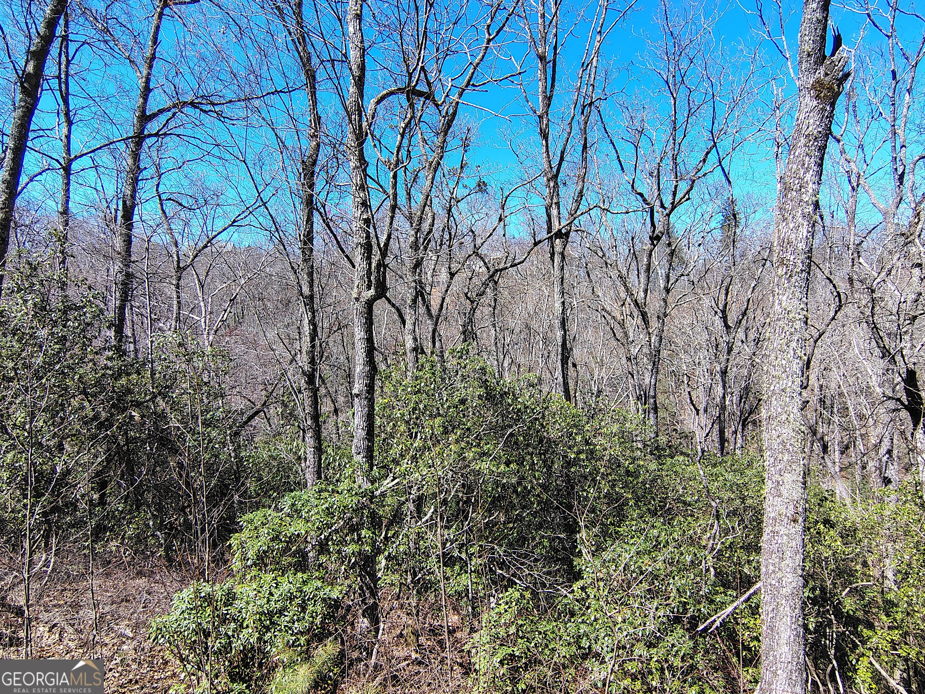 0 Ivy Rdg Way, Unit LOT 50 Clarkesville, GA 30523 - Photo 5 of 29