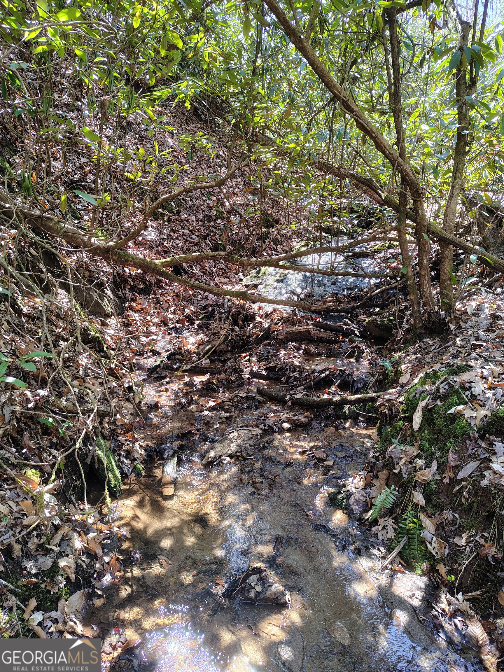 0 Ivy Rdg Way, Unit LOT 50 Clarkesville, GA 30523 - Photo 6 of 29