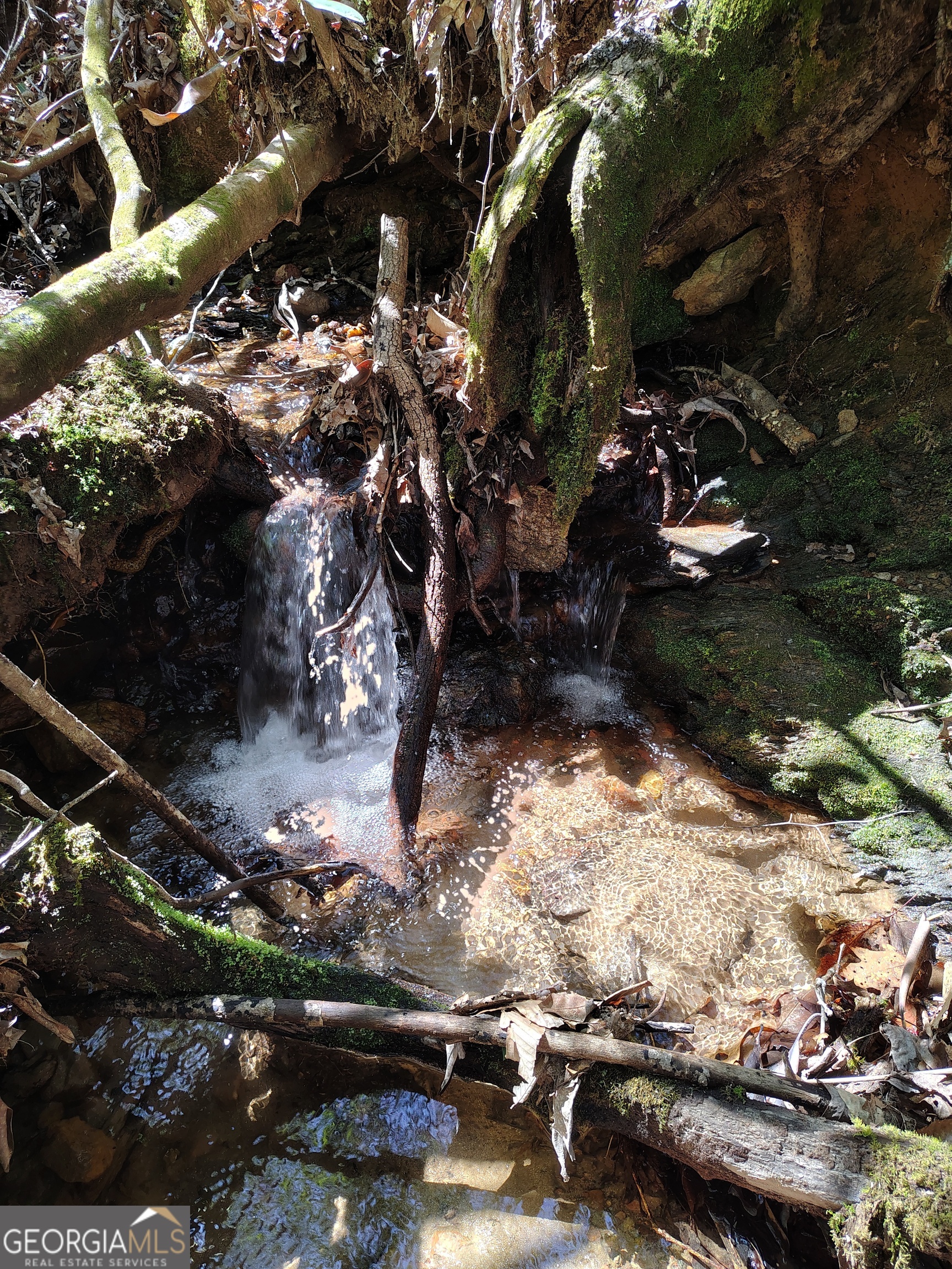 0 Ivy Rdg Way, Unit LOT 50 Clarkesville, GA 30523 - Photo 10 of 29