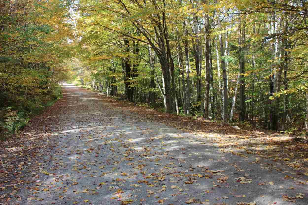 44 Hemlock Hill Road, Unit 4 Wardsboro, VT 05355 - Photo 1 of 23 Gallery Image 1