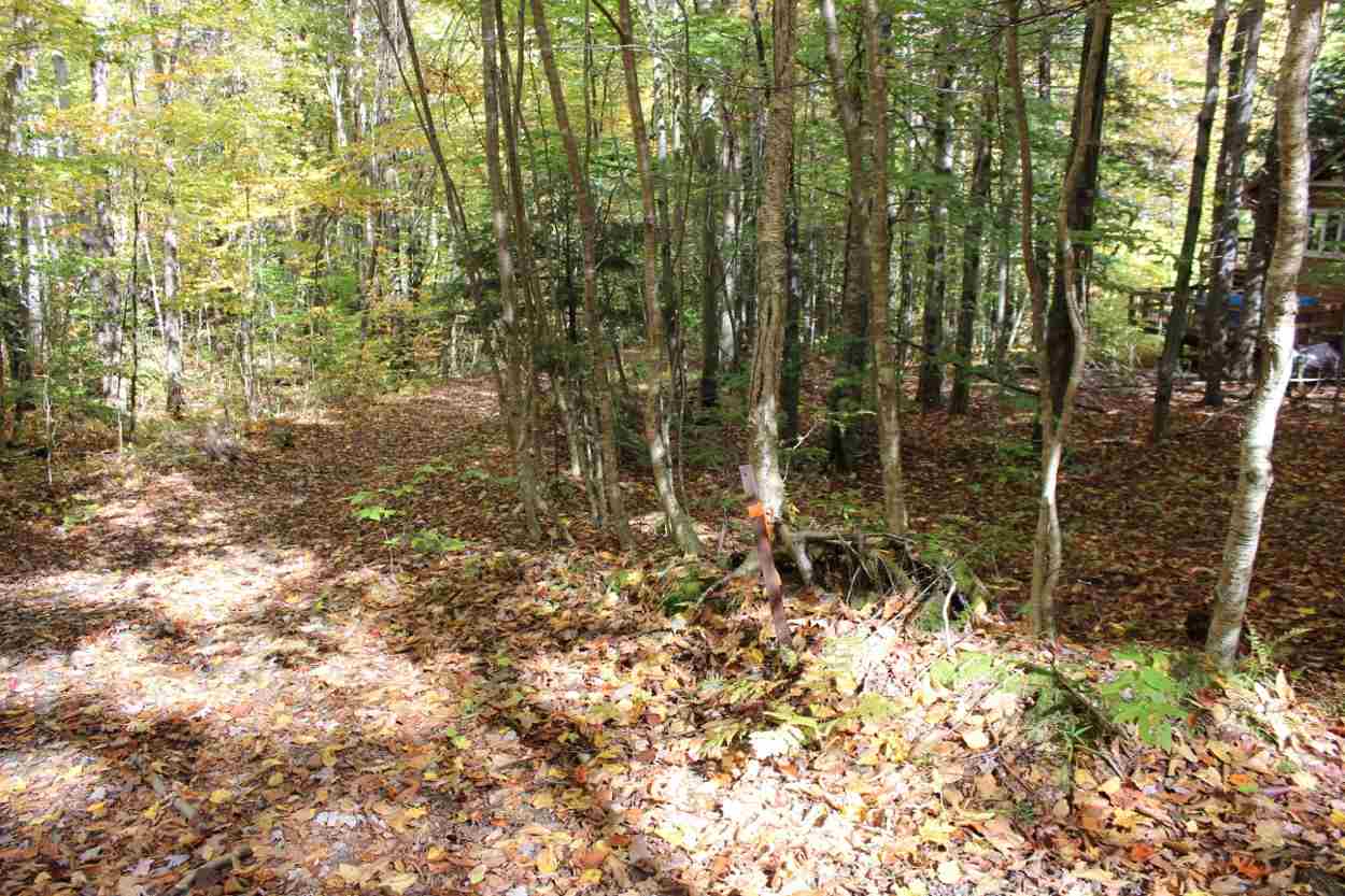 44 Hemlock Hill Road, Unit 4 Wardsboro, VT 05355 - Photo 3 of 23 Gallery Image 3