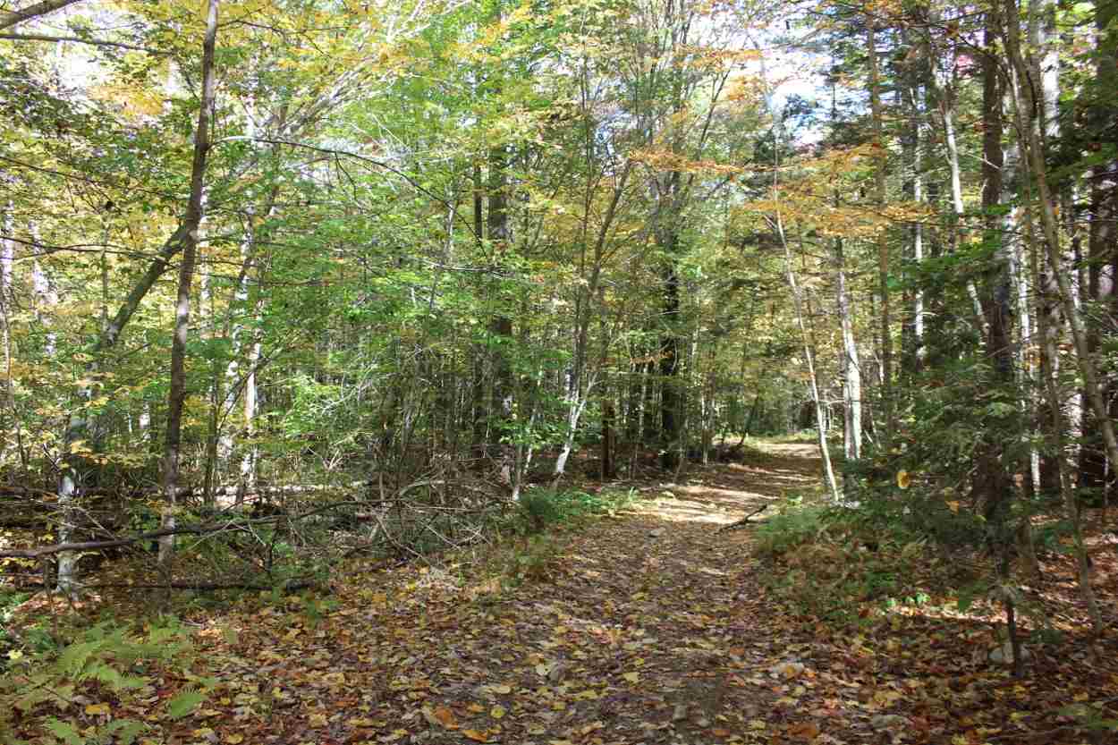 44 Hemlock Hill Road, Unit 4 Wardsboro, VT 05355 - Photo 5 of 23 Gallery Image 5