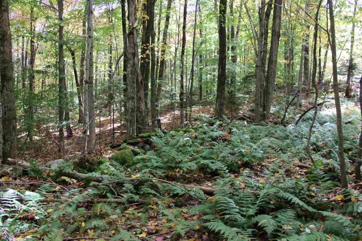 44 Hemlock Hill Road, Unit 4 Wardsboro, VT 05355 - Photo 6 of 23 Gallery Image 6