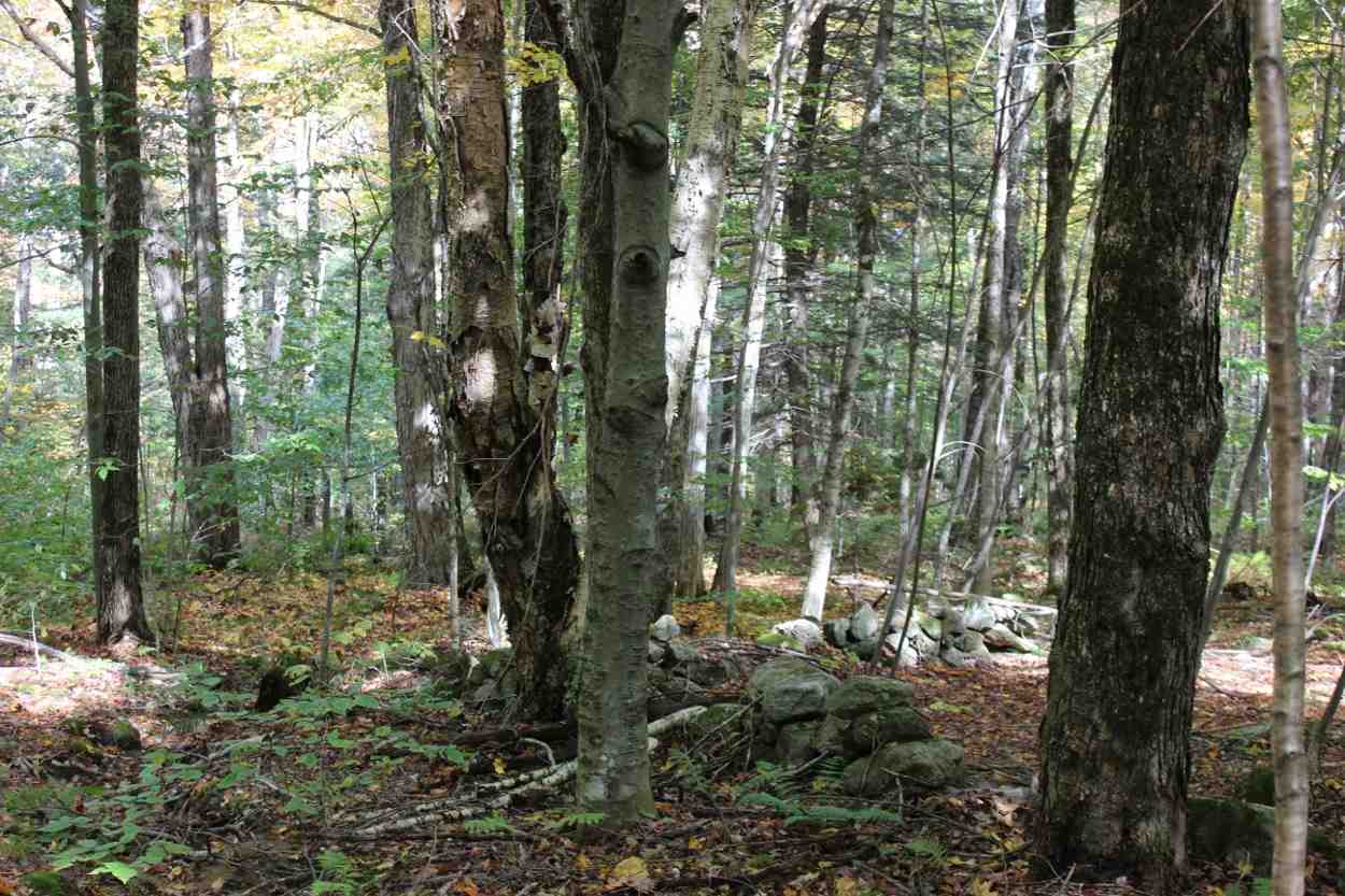 44 Hemlock Hill Road, Unit 4 Wardsboro, VT 05355 - Photo 8 of 23 Gallery Image 8