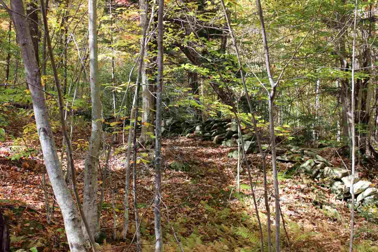 44 Hemlock Hill Road, Unit 4 Wardsboro, VT 05355 - Photo 10 of 23 Gallery Image 10