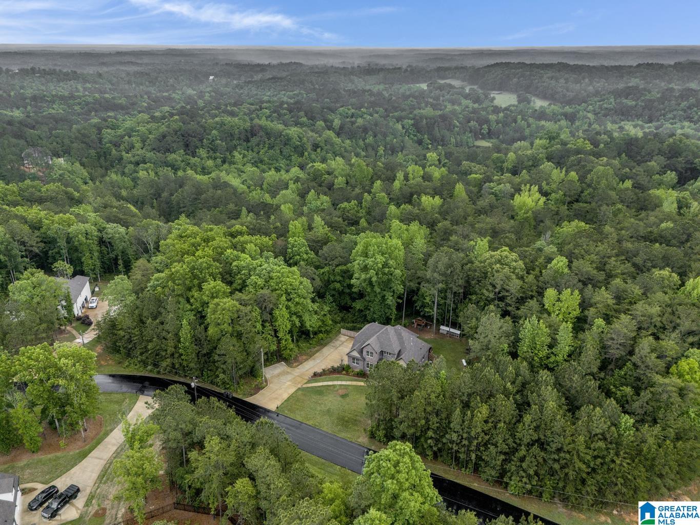 185 Cornerstone Circle Calera, AL 35040 - Photo 66 of 68
