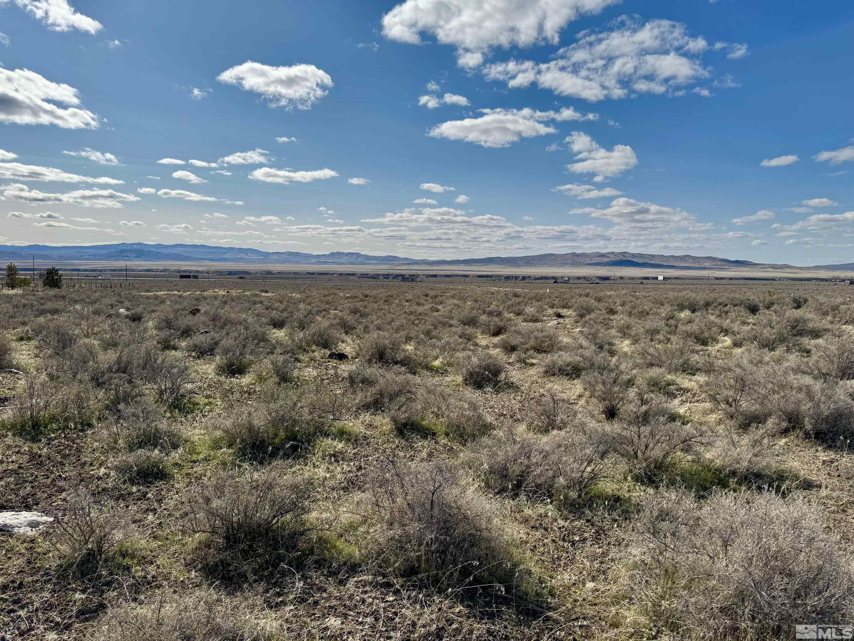 22580 Button Lake Trail, Unit 202 Lovelock, NV 89419 - Photo 6 of 29 a view of a dry yard with lots of bushes
