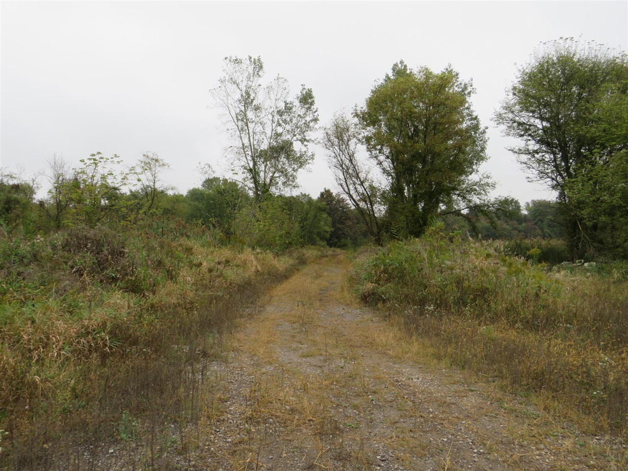 Vl Mcclure Road Eaton Rapids, MI 48827 - Photo 6 of 72