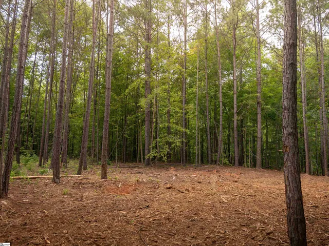 $75,000 | 4 Neal Shoals Road, Union, SC 29379