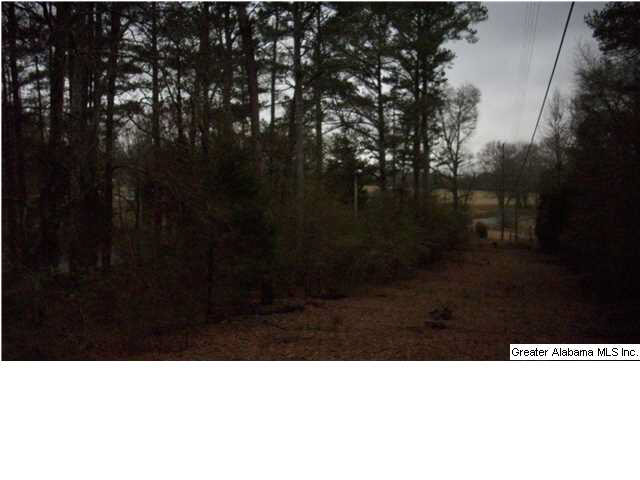 Peaceful Valley Road, Unit 38 5 Eastaboga, AL 36260 - Photo 10 of 11
