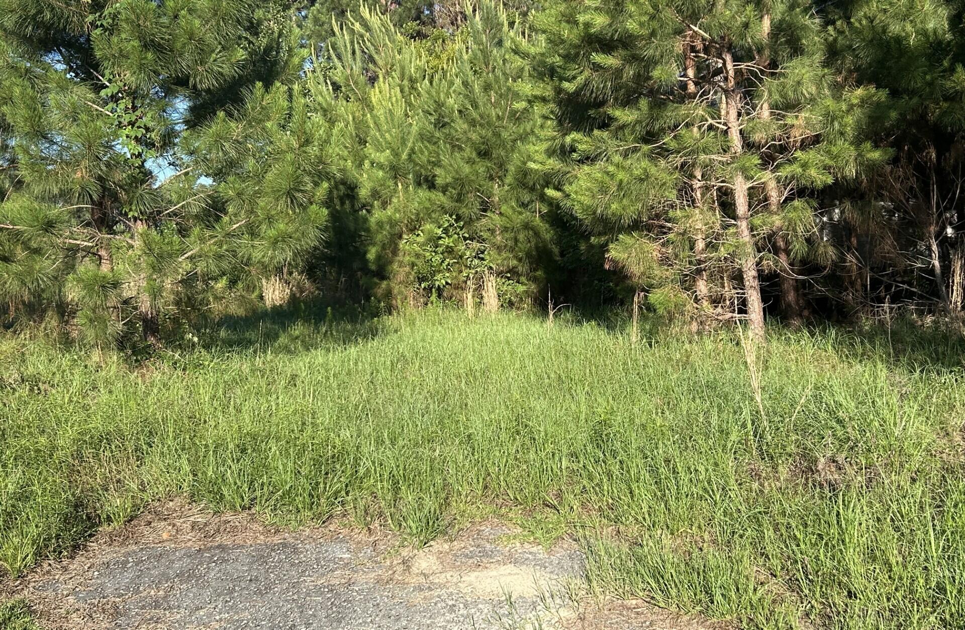 2641 State Rd S-15-84 Islandton, SC 29929 - Photo 18 of 20